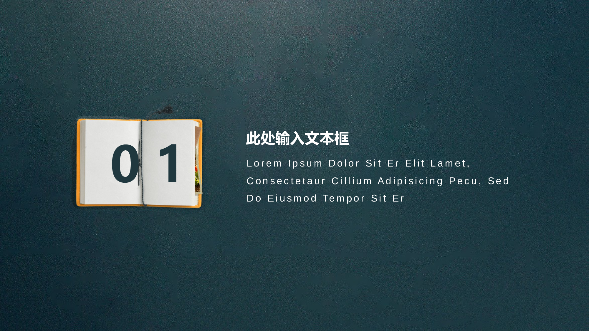 教育说课 (10).pptx 第3页