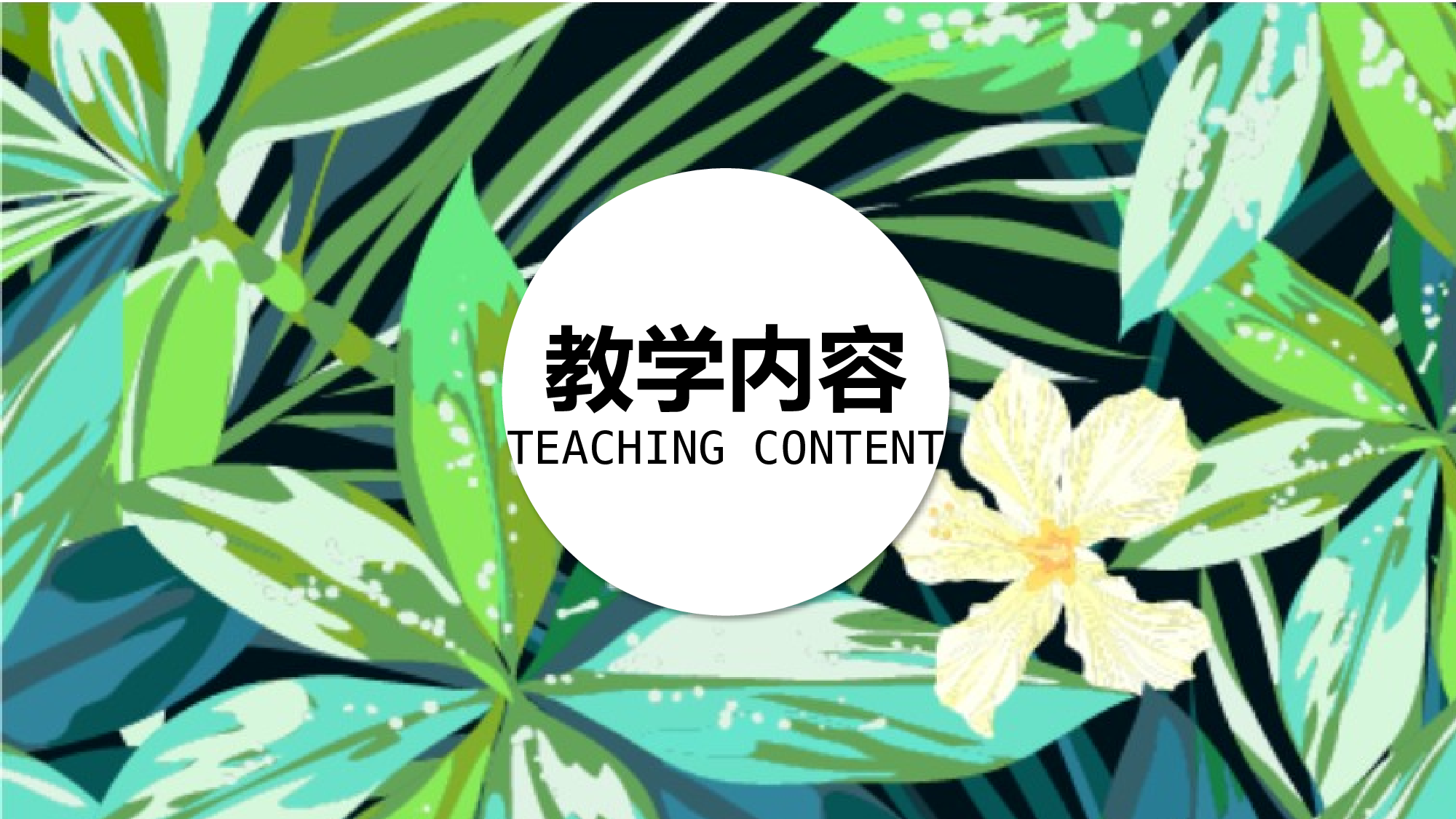 教育说课(103).pptx 第3页