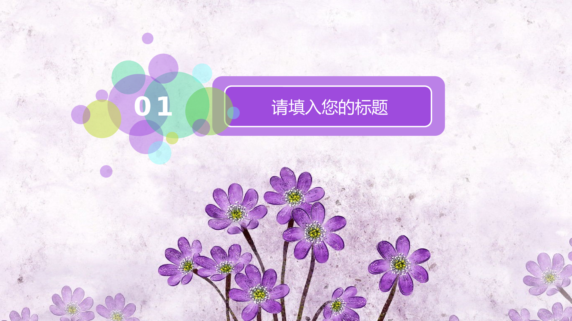 教育说课(106).pptx 第3页