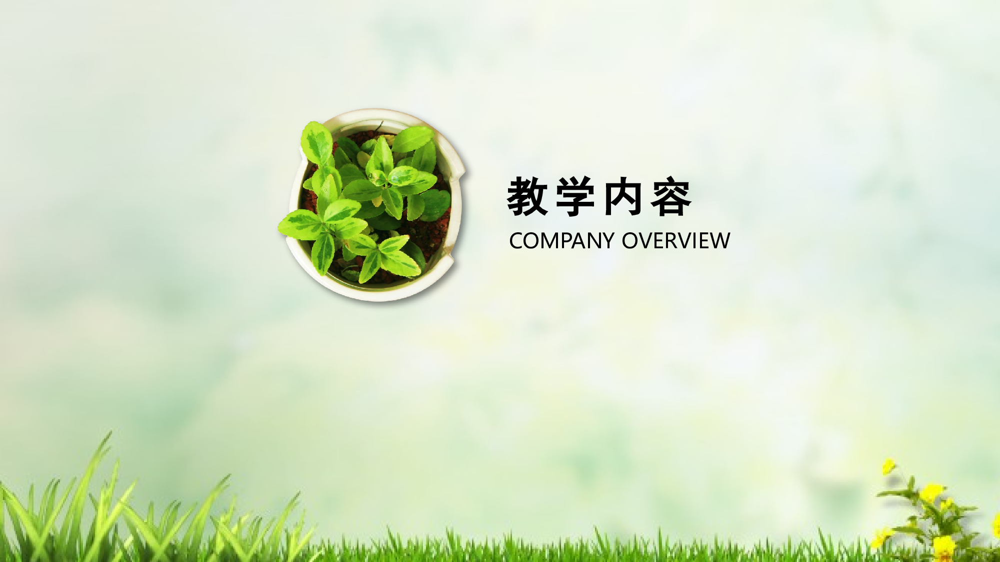 教育说课(111).pptx 第3页