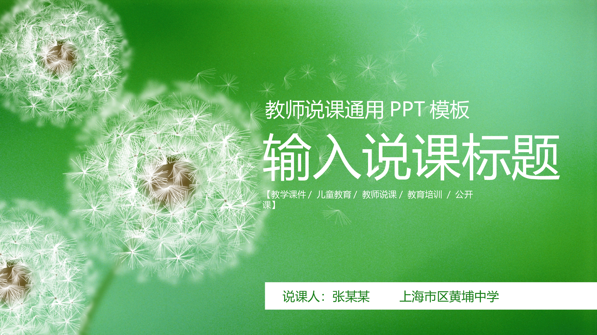 教育说课(117).pptx 第1页