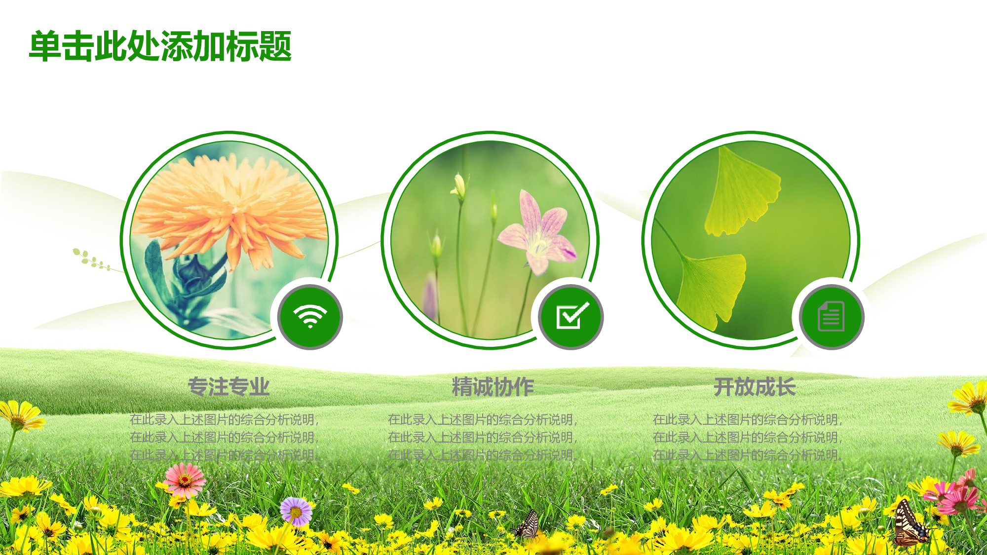 教育说课(187).pptx 第4页