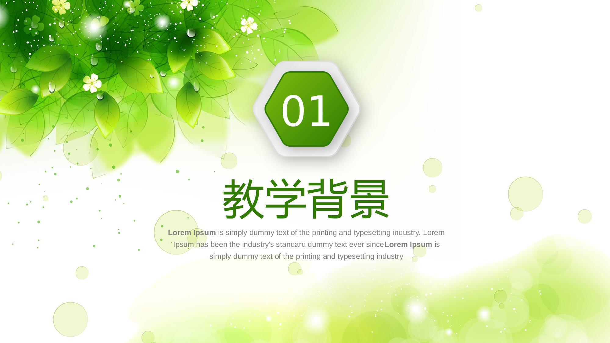教育说课(188).pptx 第3页