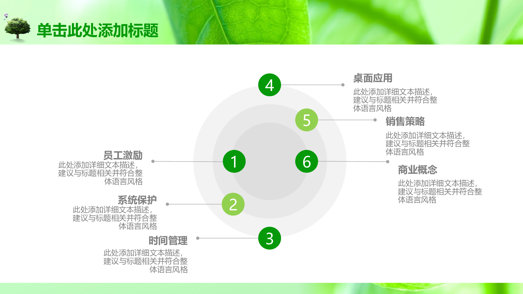 教育说课(189).pptx 第6页