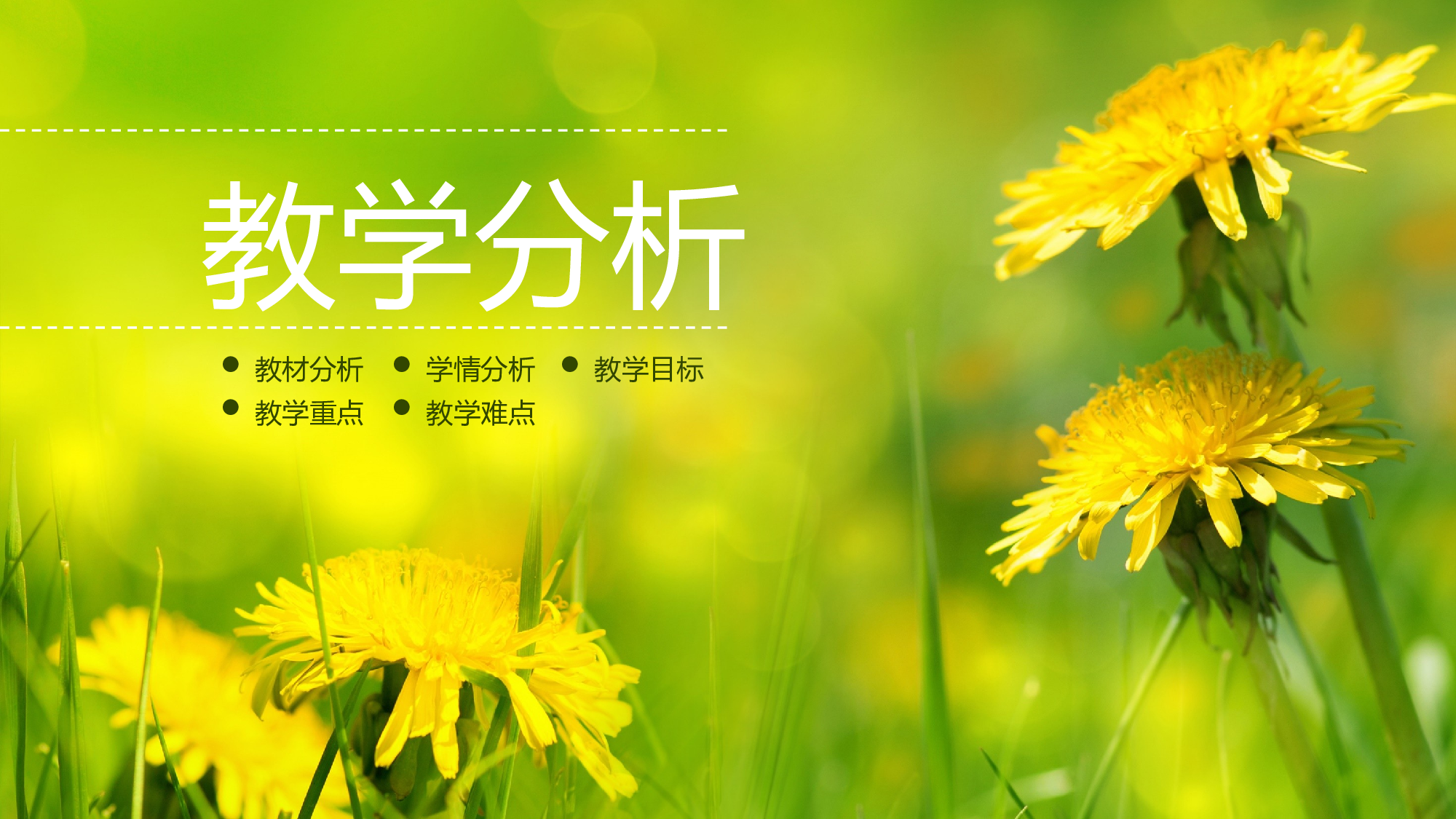 教育说课(196).pptx 第3页
