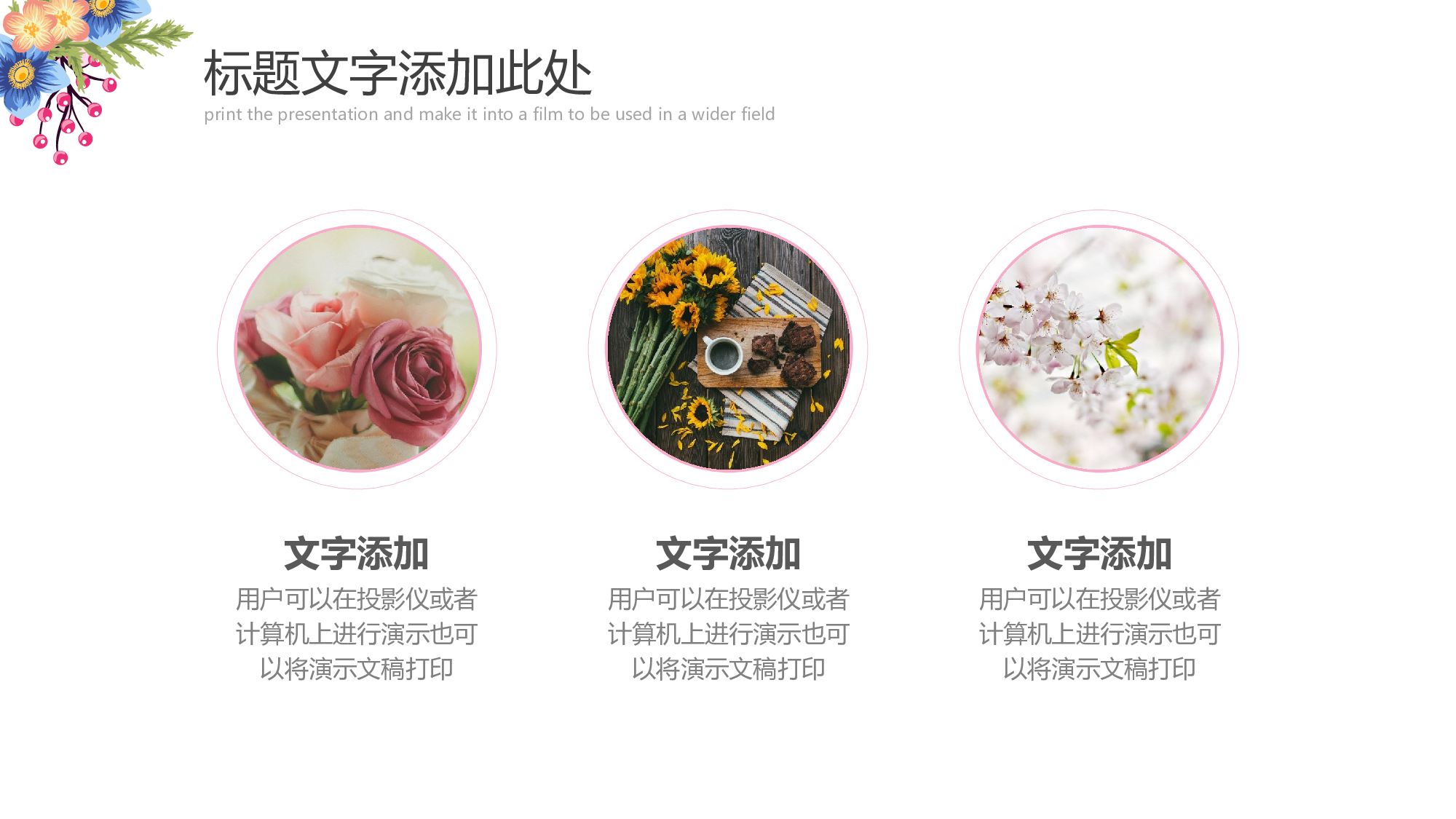 教育说课(292).pptx 第5页