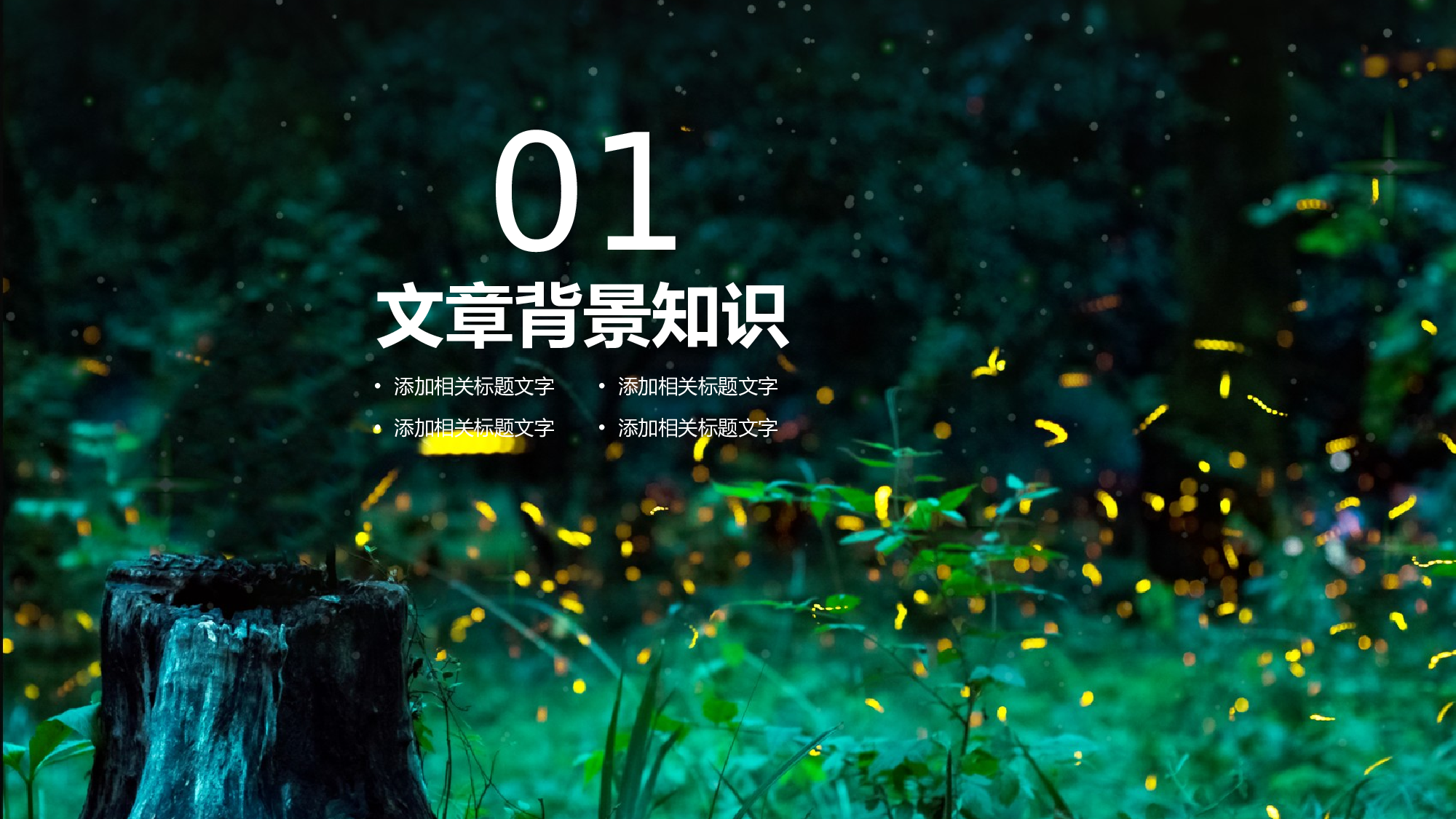 教育说课(489).pptx 第3页