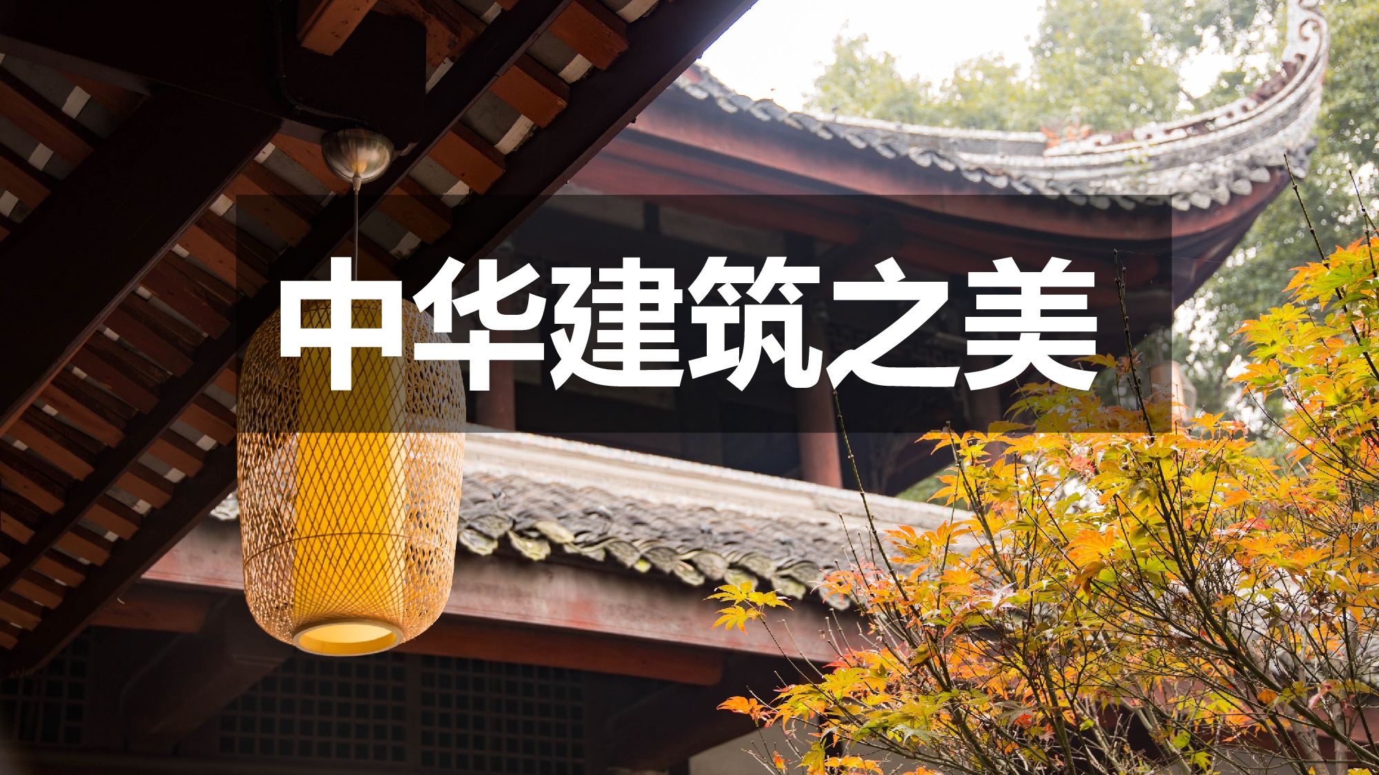 教育说课(503).pptx 第1页