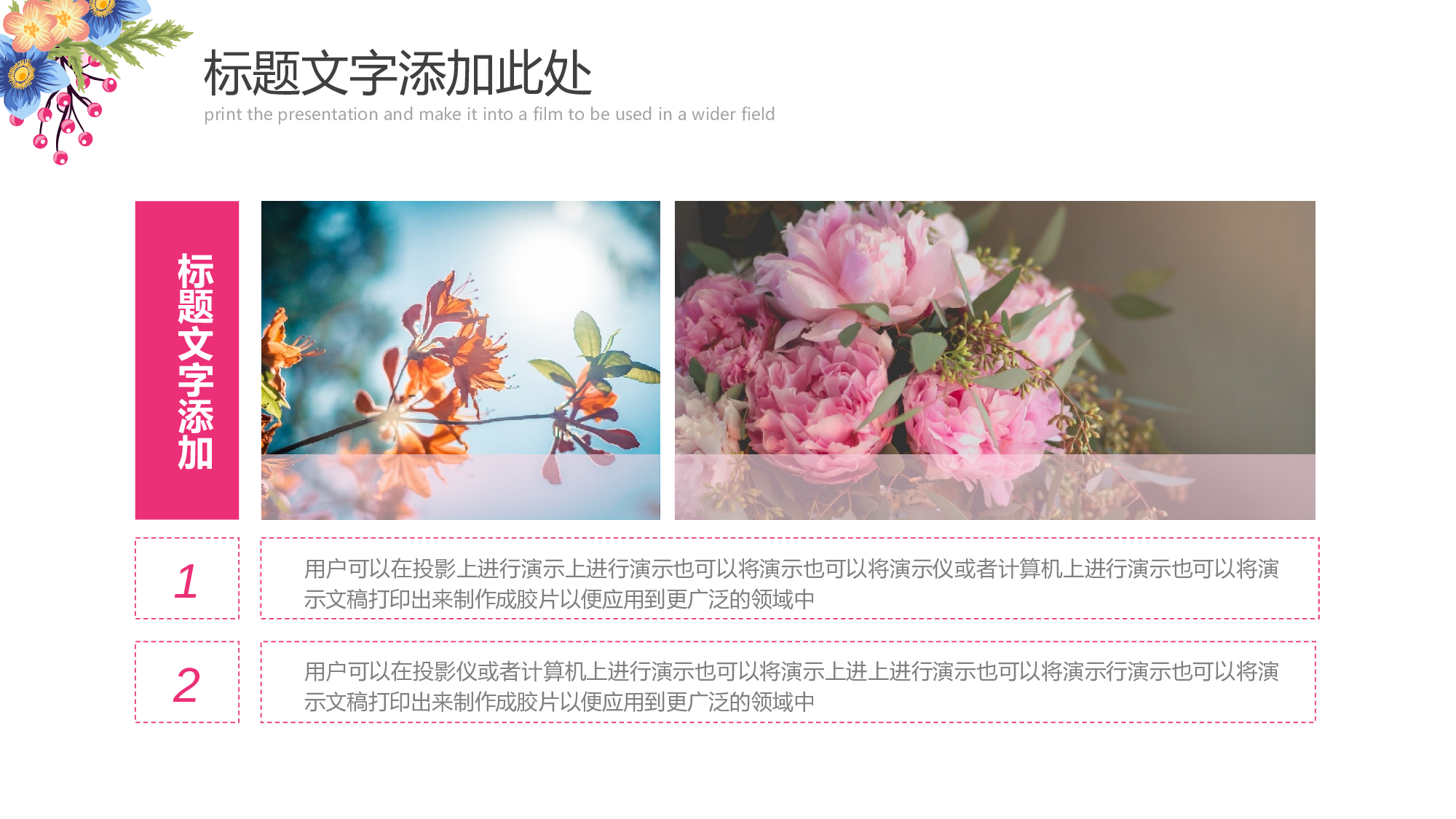 教育说课(544).pptx 第4页