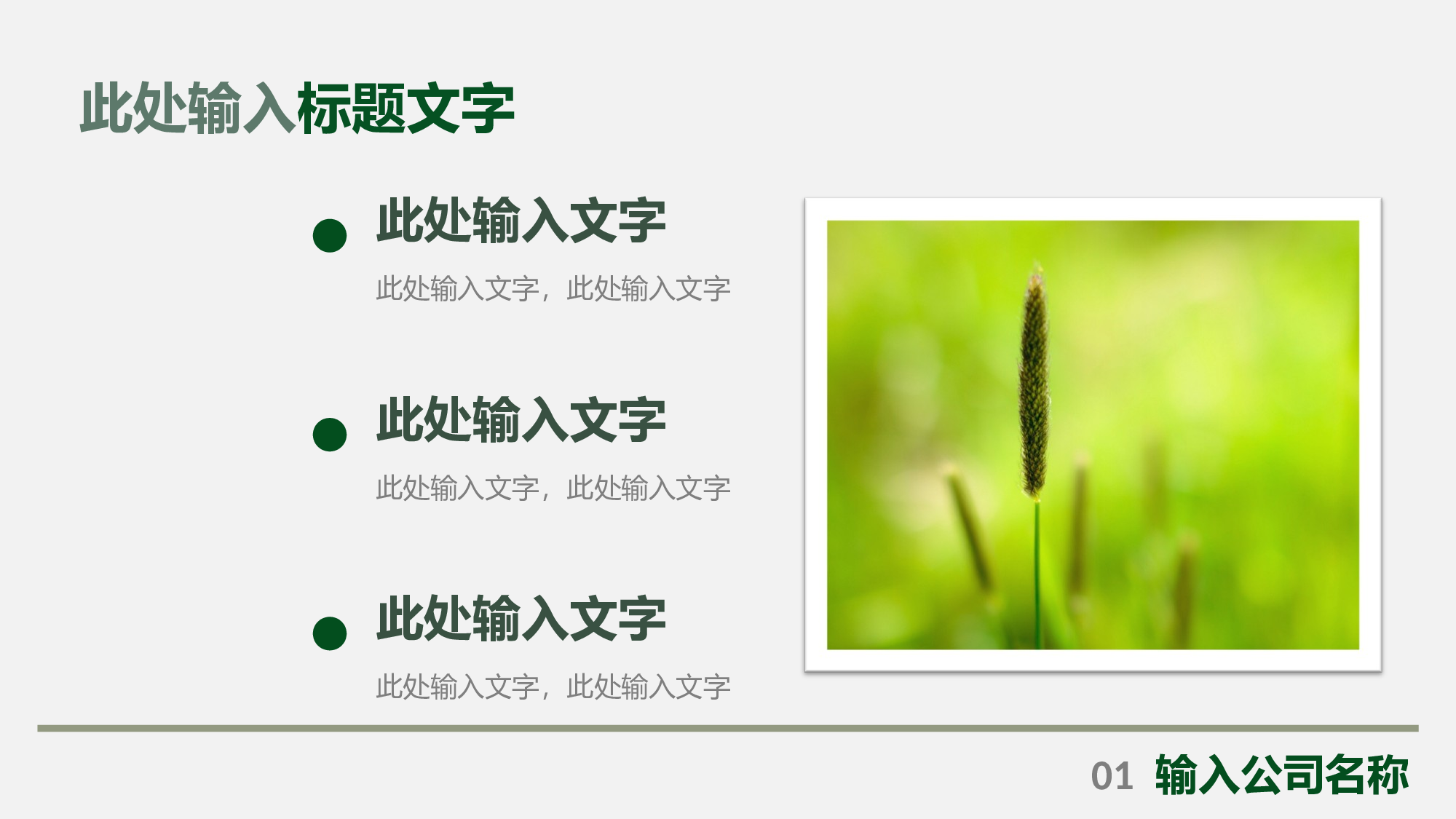 工作模板 (26).ppt 第5页