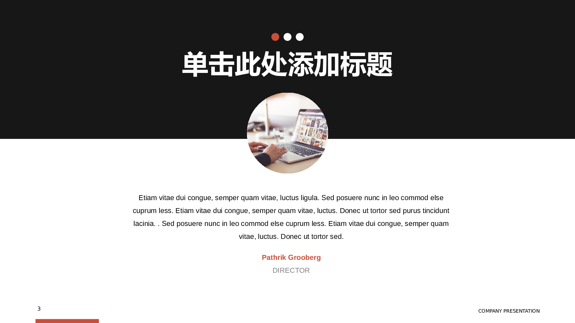 欧美商务(20)21.pptx 第3页