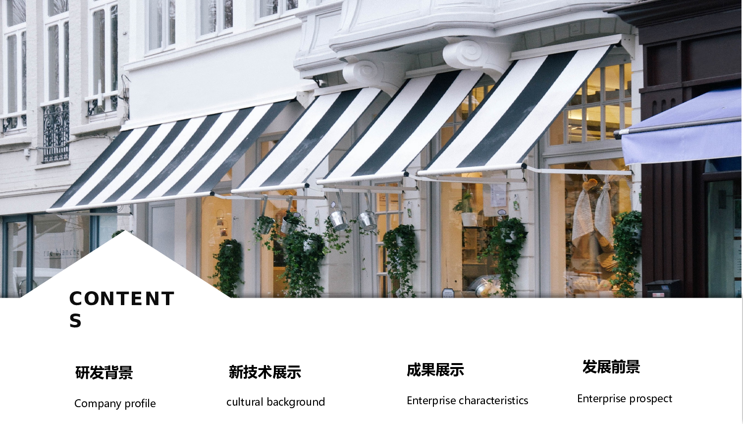 欧美大气精选PPT模板【13】.pptx 第2页