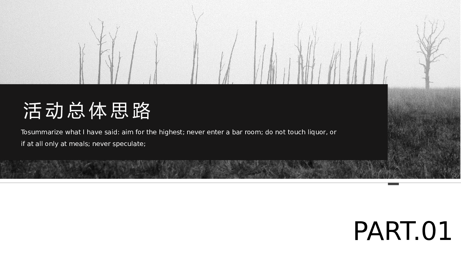 欧美大气精选PPT模板【18】.pptx 第3页