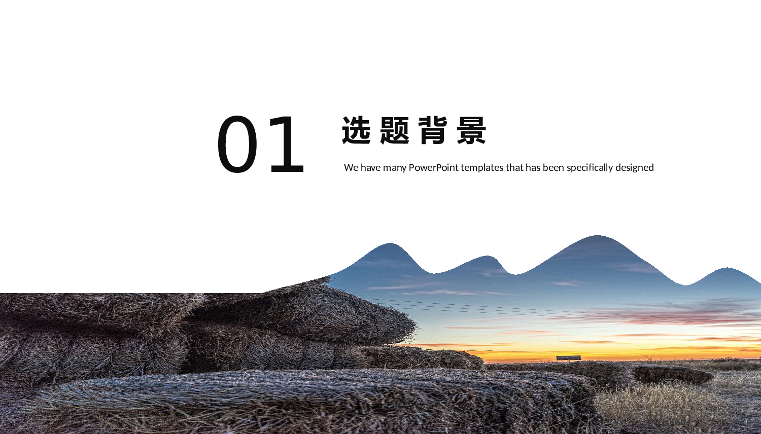 欧美大气精选PPT模板【22】.pptx 第3页