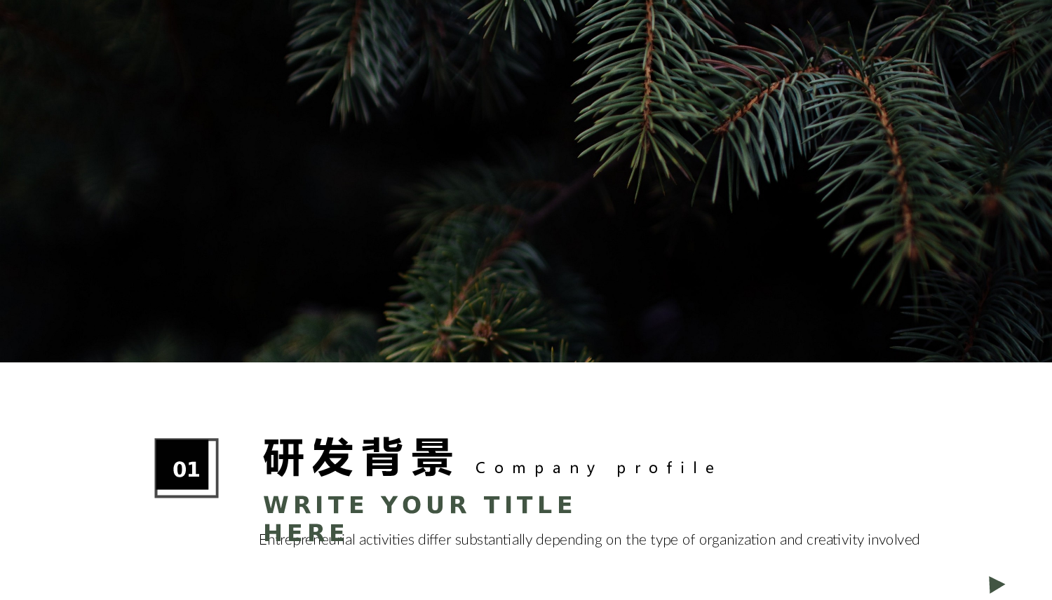欧美大气精选PPT模板【24】.pptx 第3页