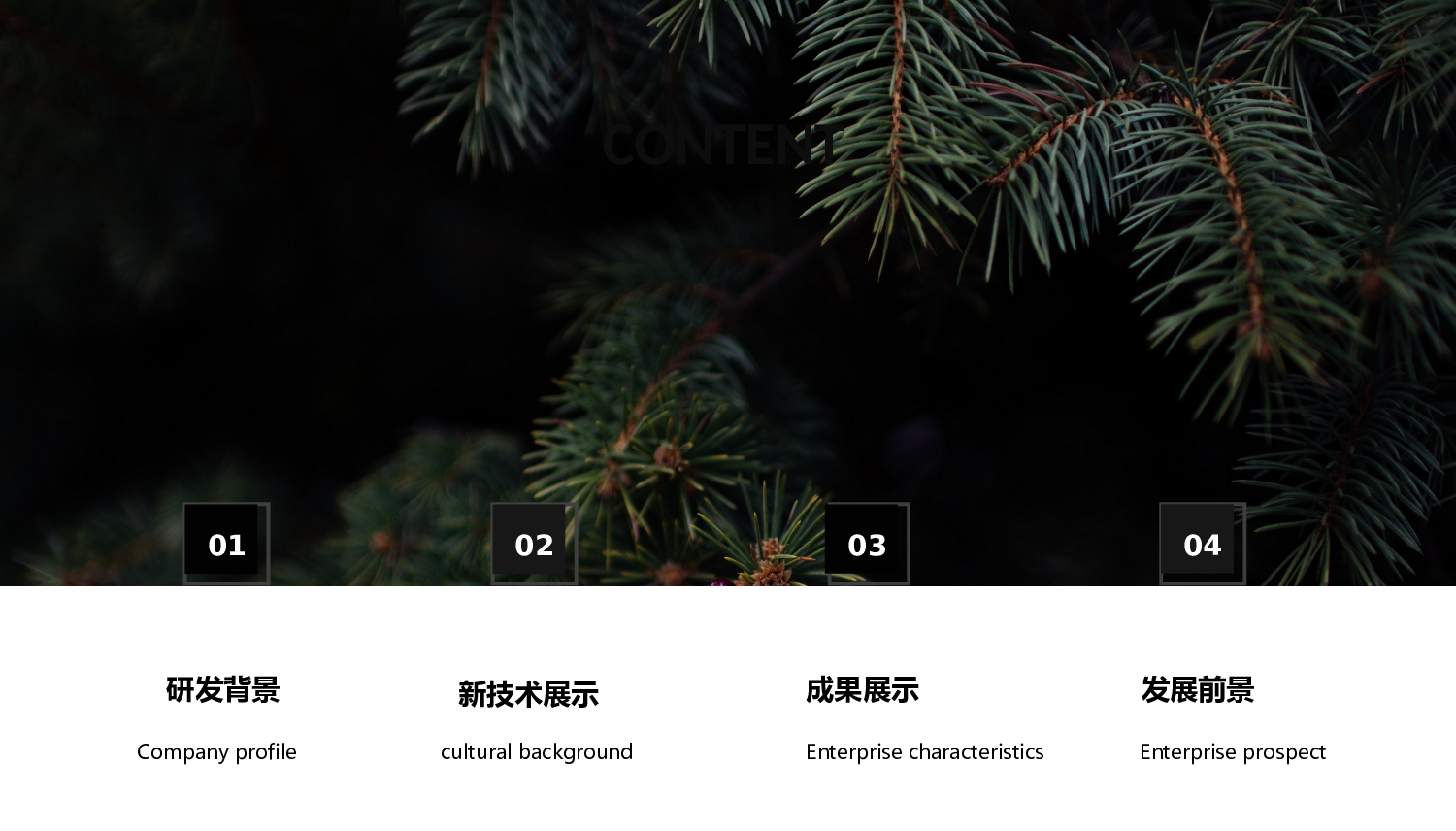 欧美大气精选PPT模板【24】.pptx 第2页