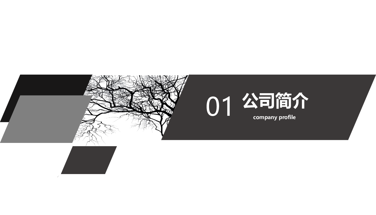 欧美大气精选PPT模板【25】.pptx 第3页