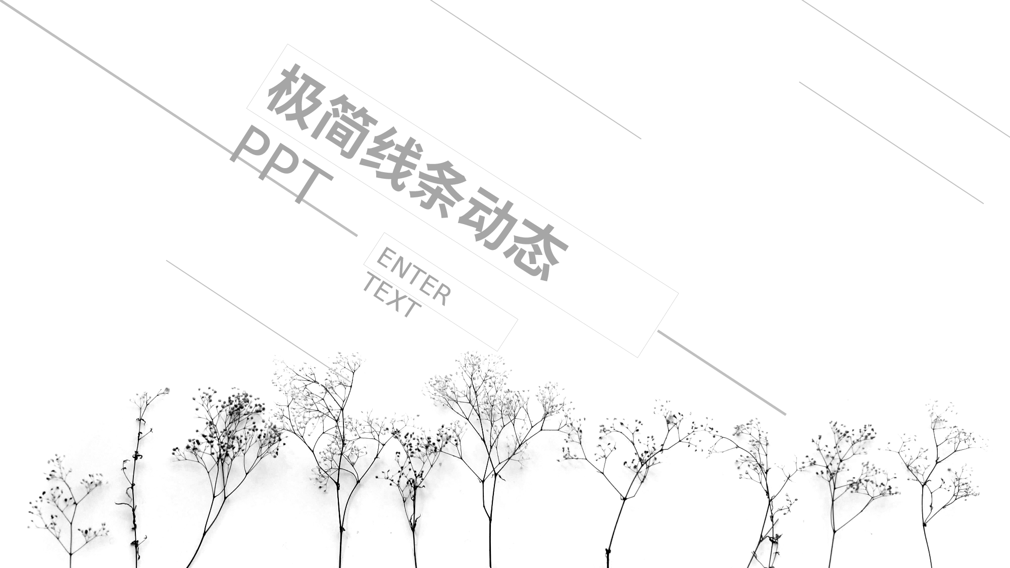 欧美大气精选PPT模板【38】.pptx 第1页