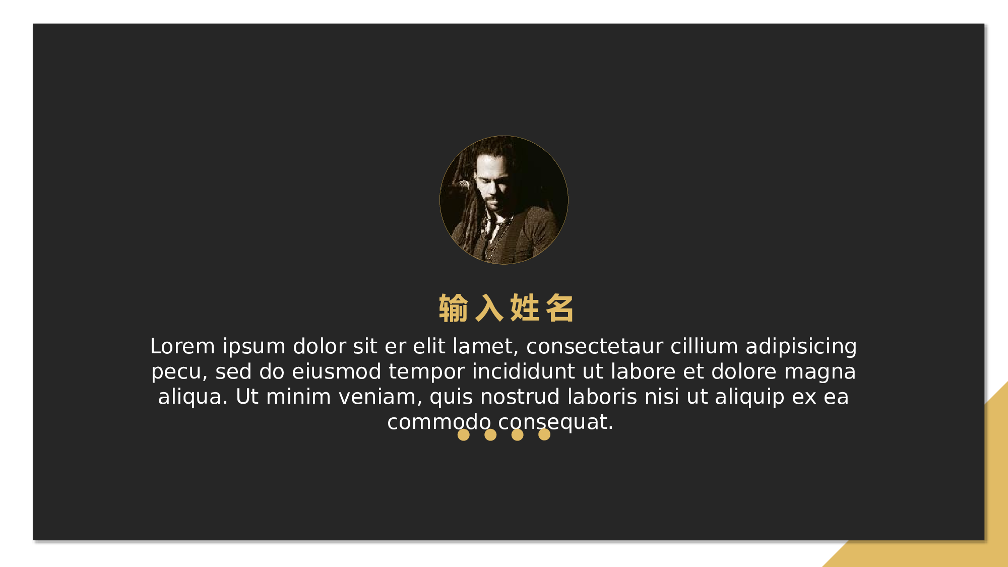 欧美风格(3).pptx 第5页
