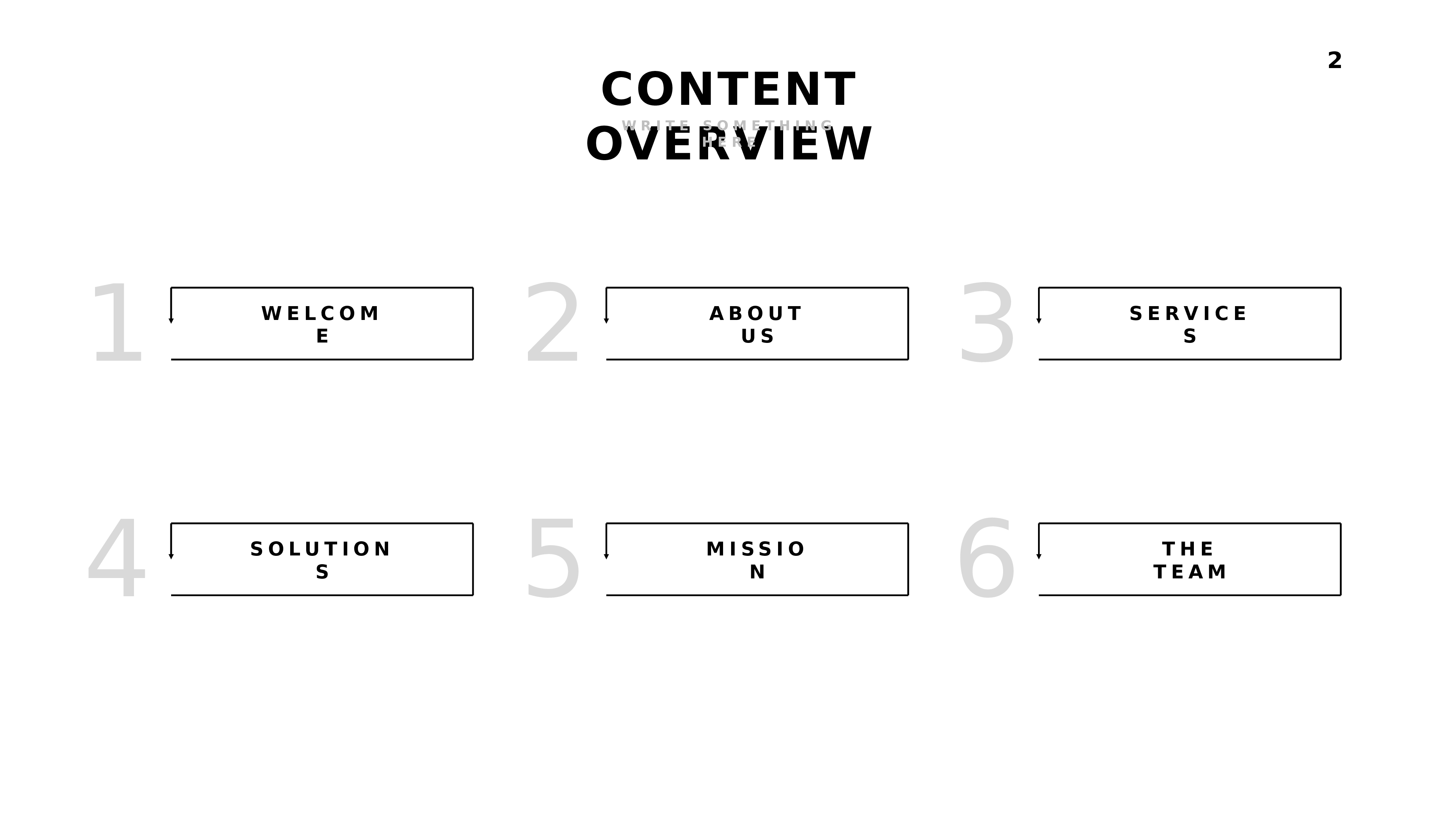 欧美高级脸1919.pptx 第2页