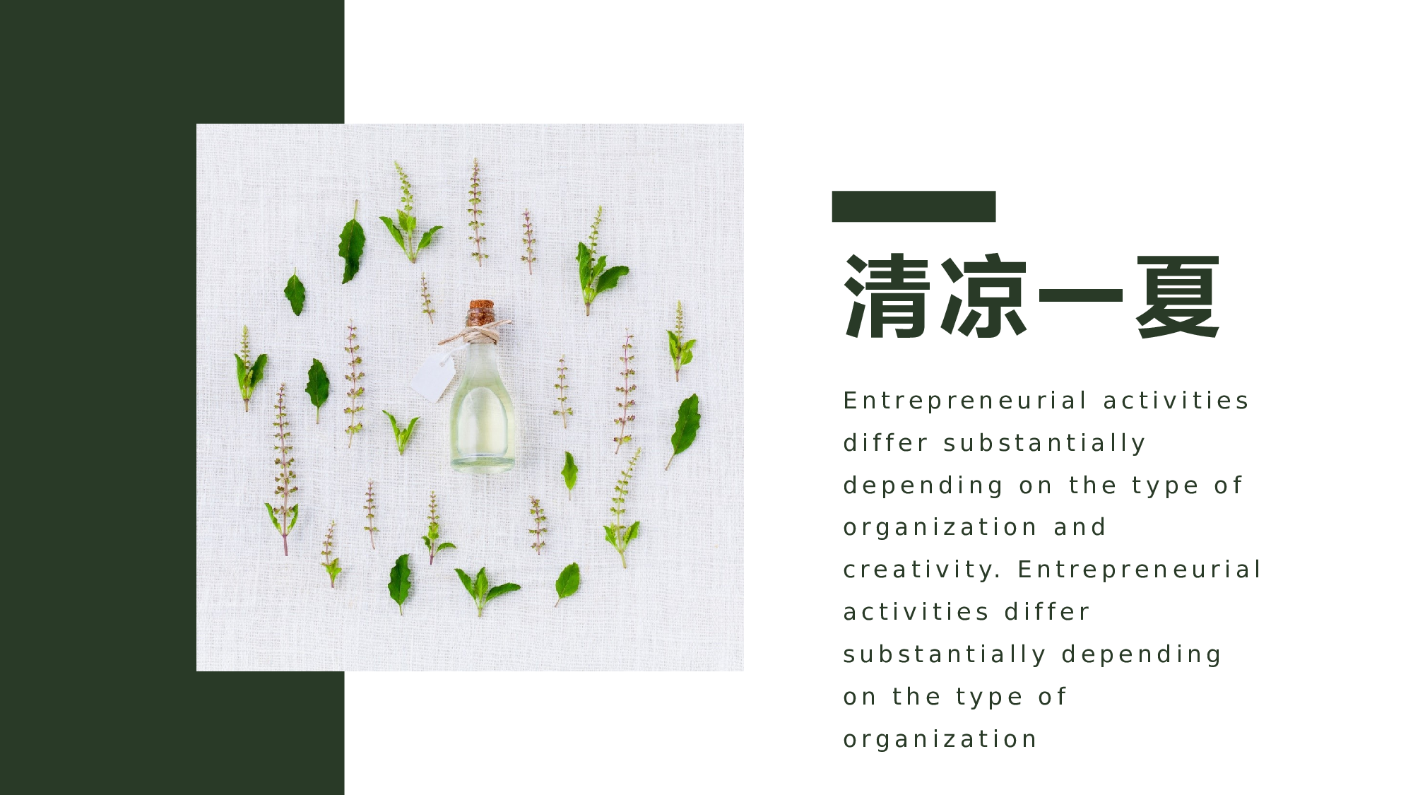 清新北欧风 (13).pptx 第6页