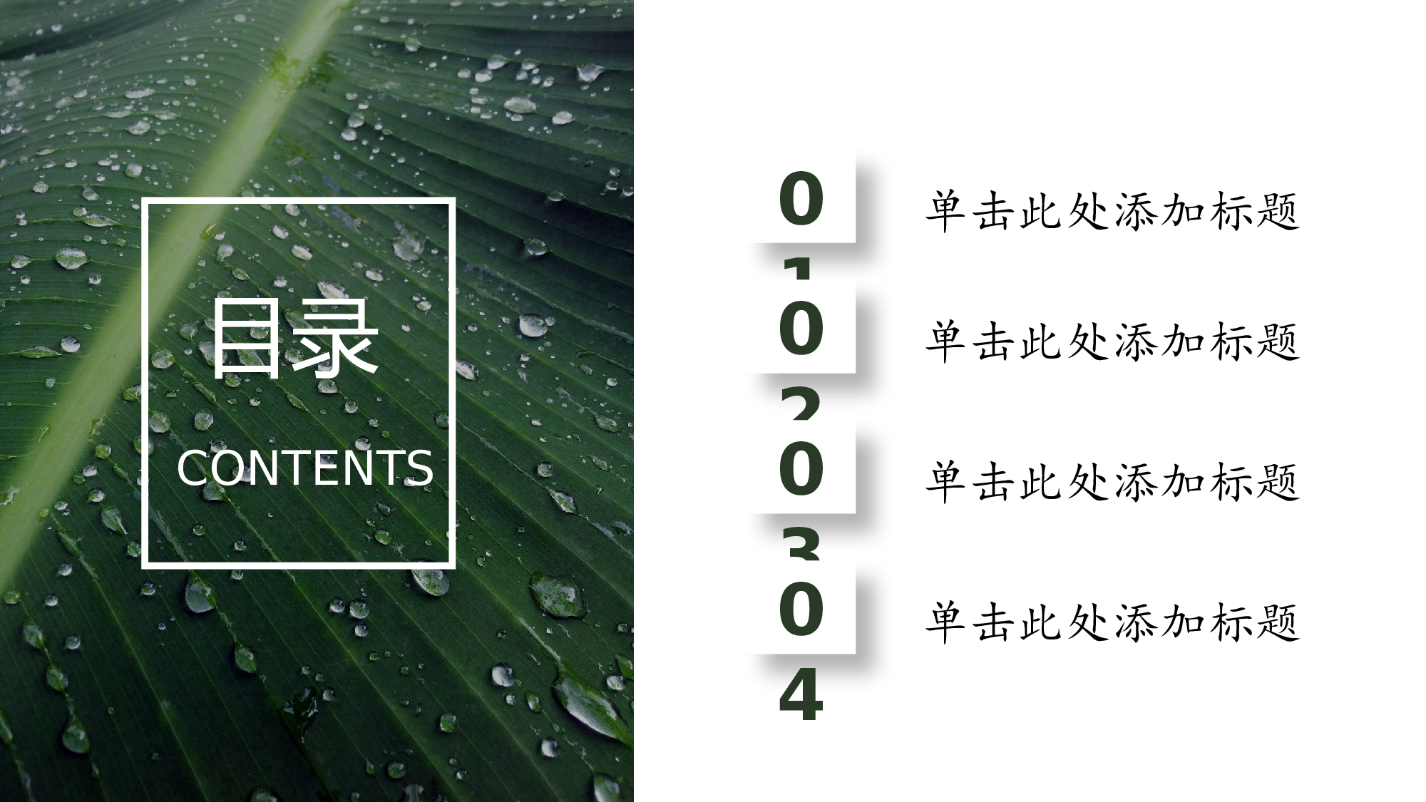 清新北欧风 (13).pptx 第2页