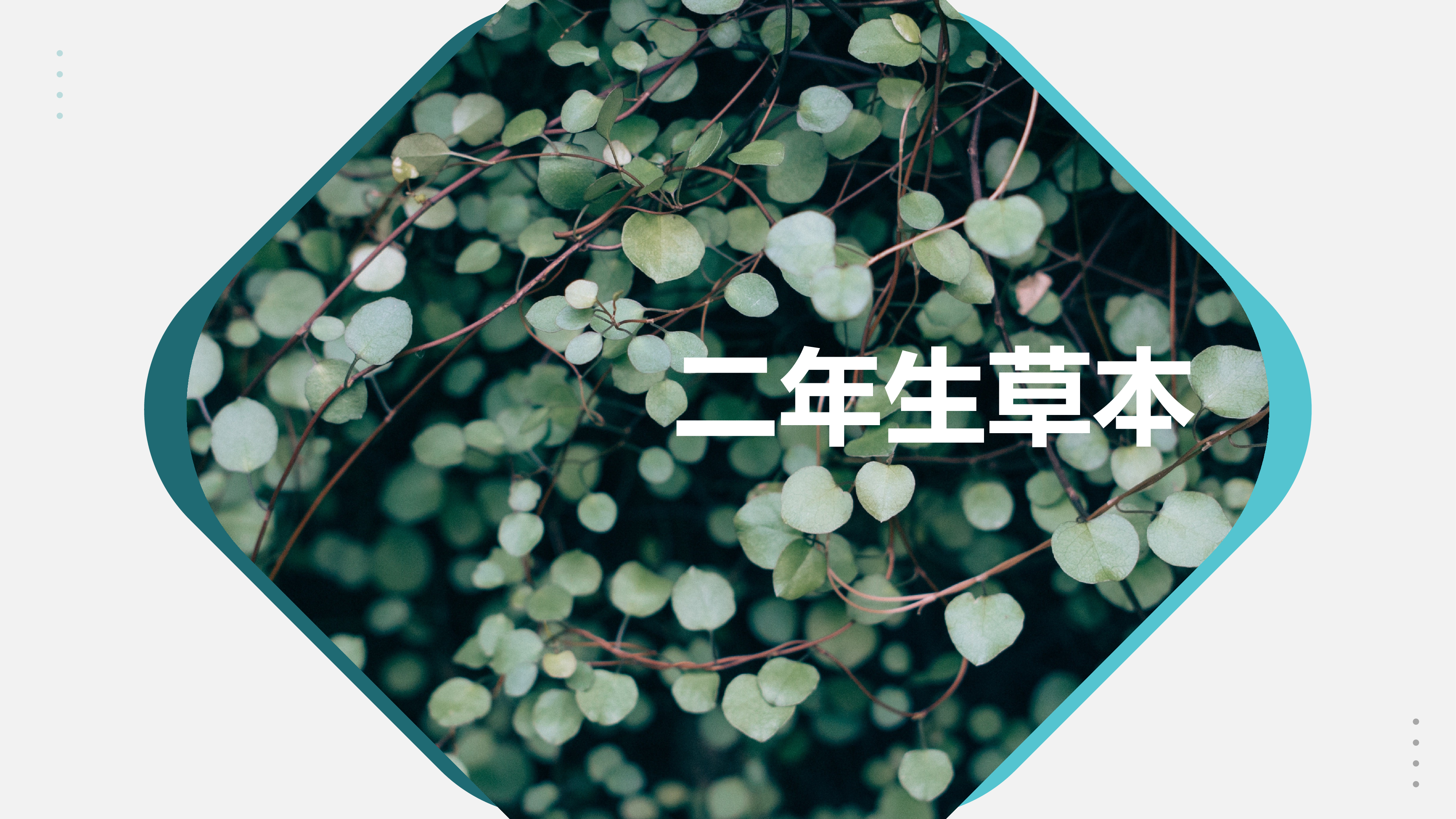 清新北欧风 (15).pptx 第5页