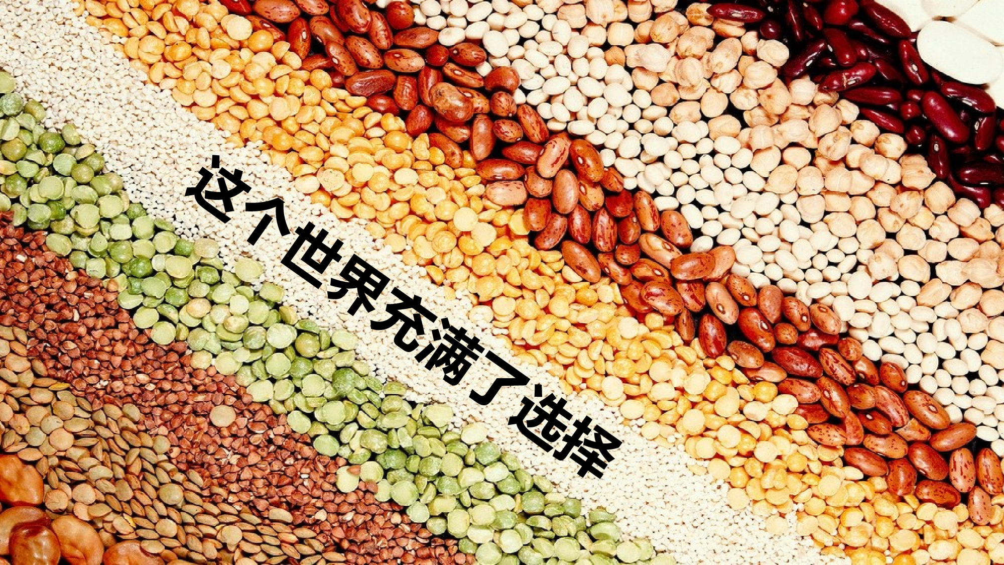 035高端宣讲.ppt 第4页