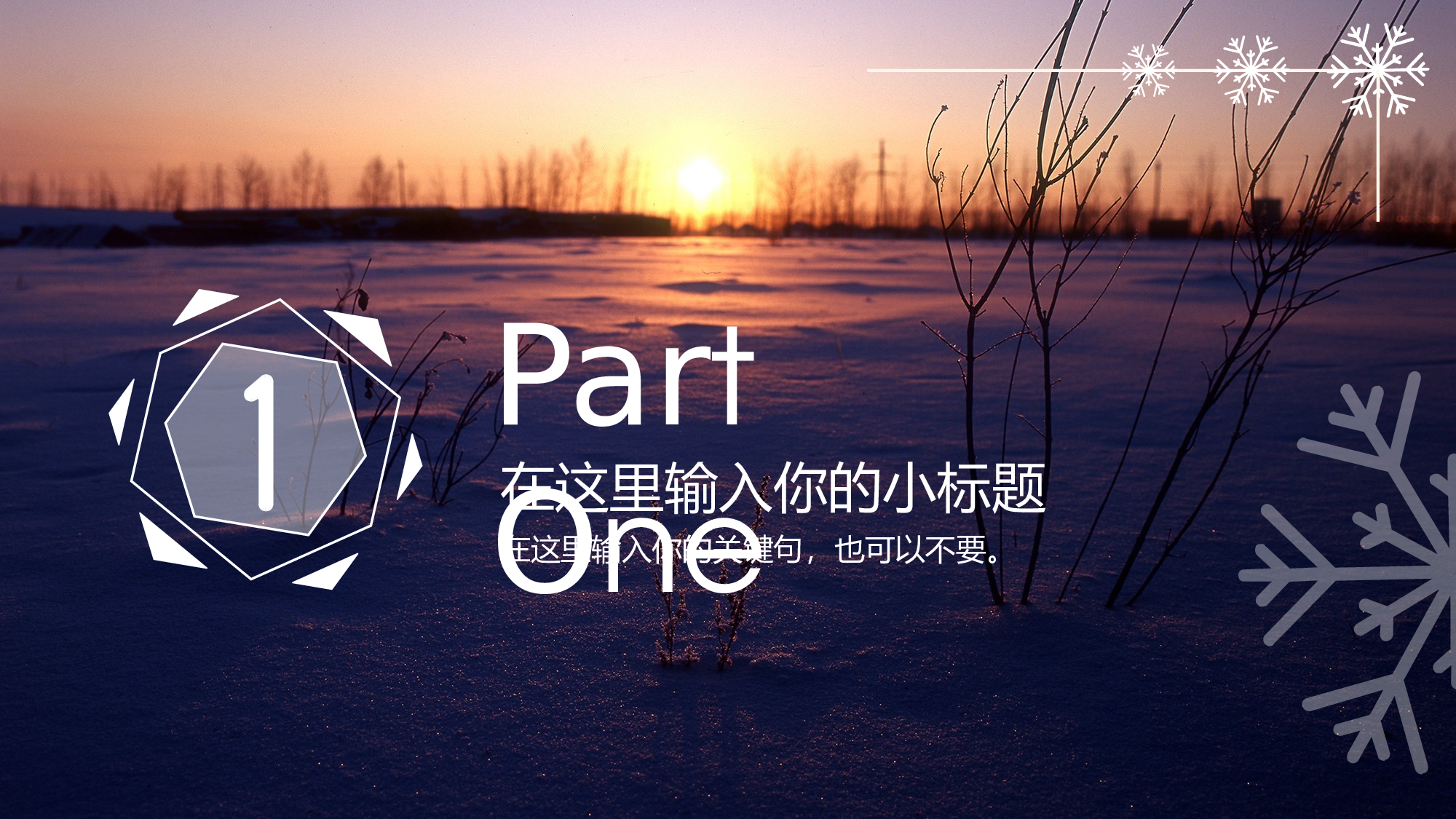 素材文艺高逼格34.pptx 第3页