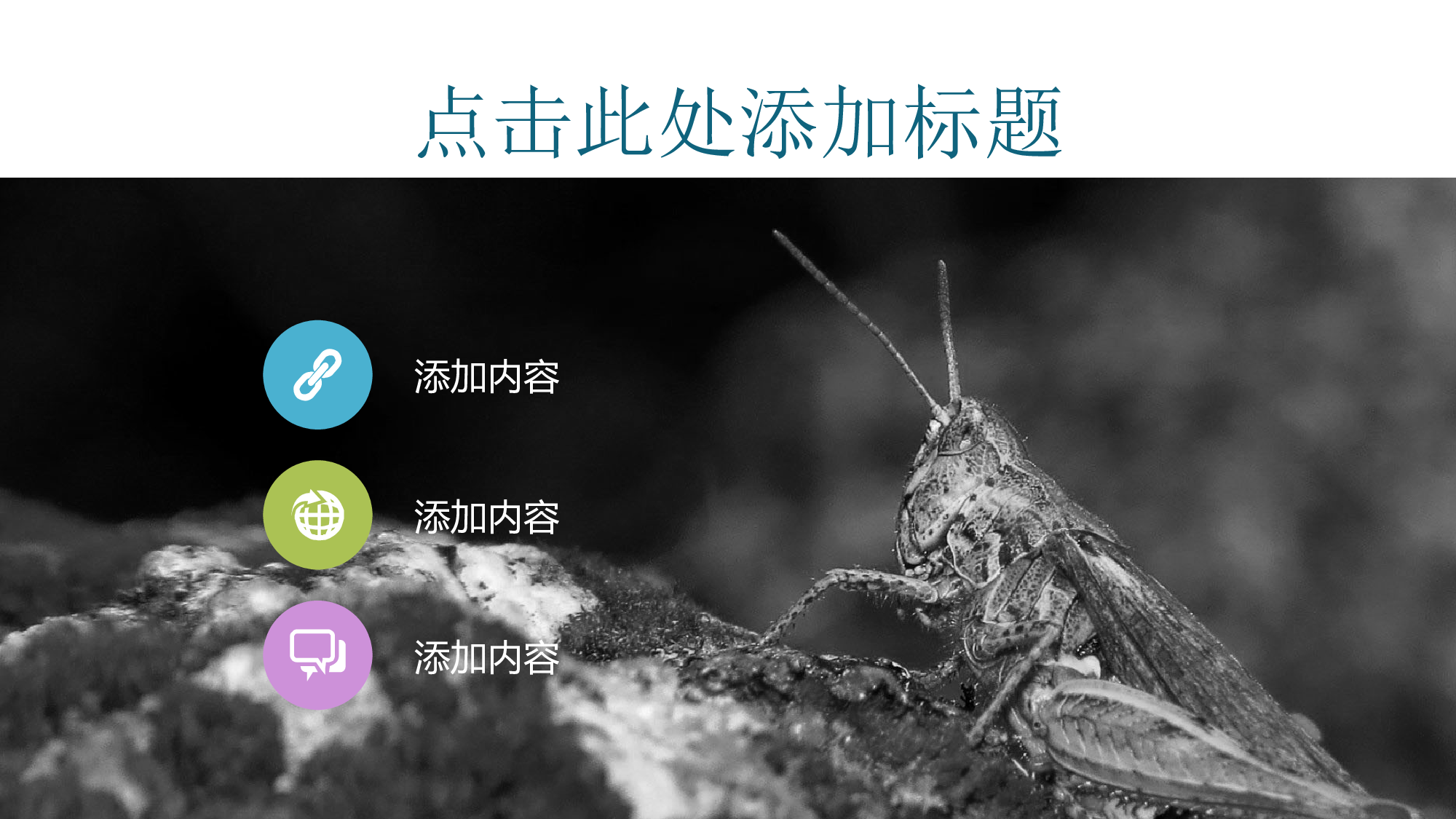 041.扁平PPT模板.ppt 第4页