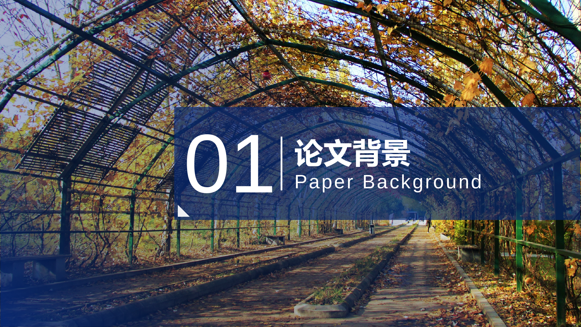 某某大学答辩通用模板15.pptx 第3页