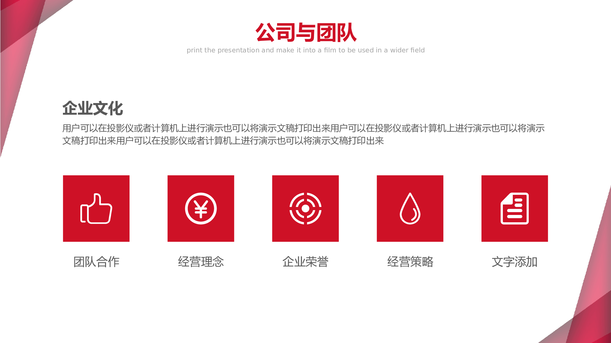 红色大气商业计划书PPT模板.pptx 第5页