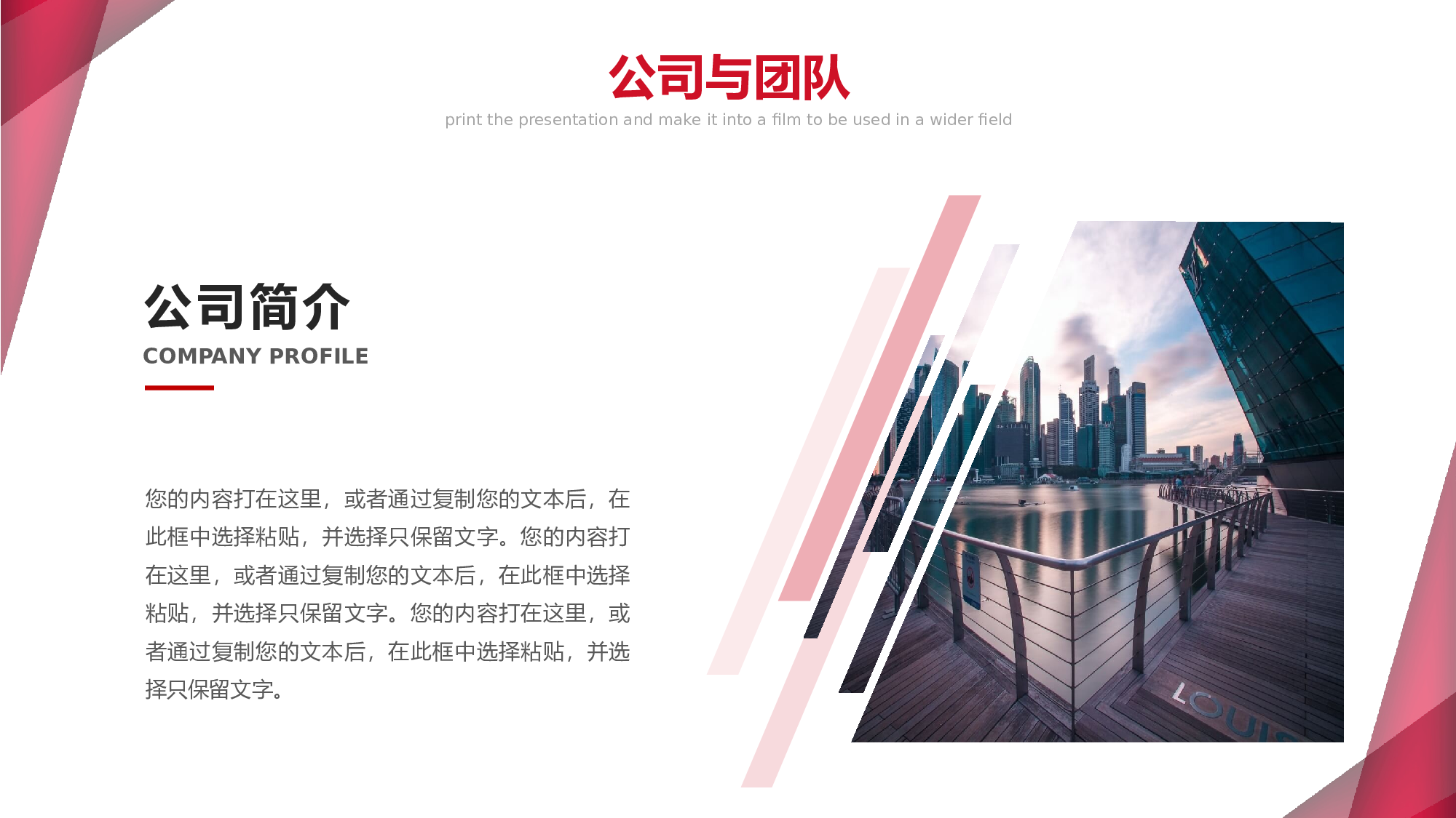 红色大气商业计划书PPT模板.pptx 第4页