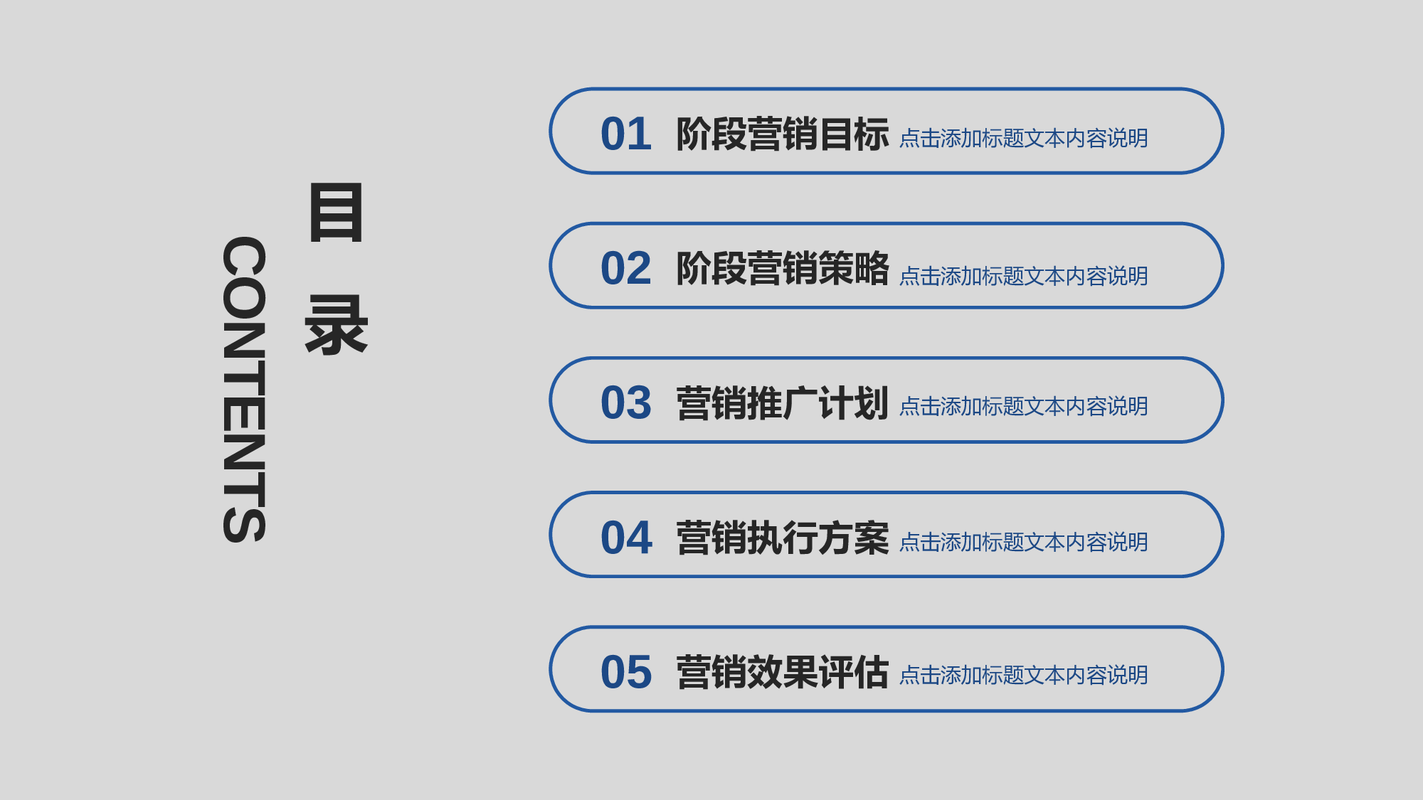简约大气营销执行方案PPT模板.pptx 第2页