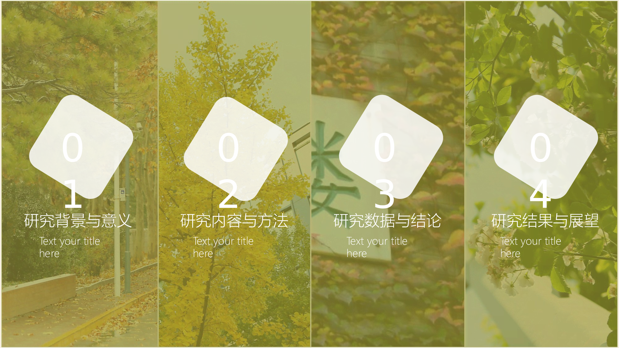 某某大学答辩通用模板439.pptx 第2页