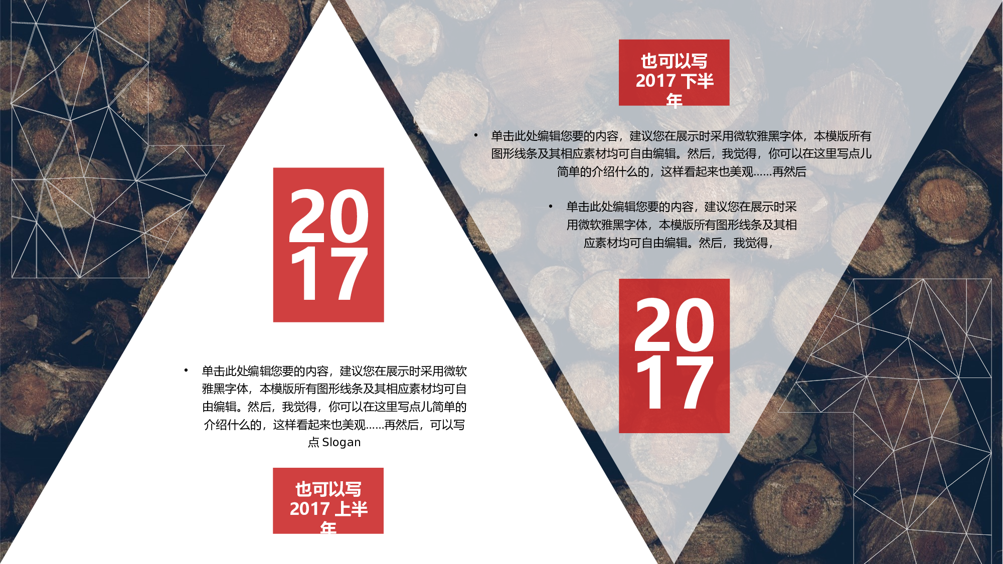 编号12-欧美极简大气【三】.pptx 第5页