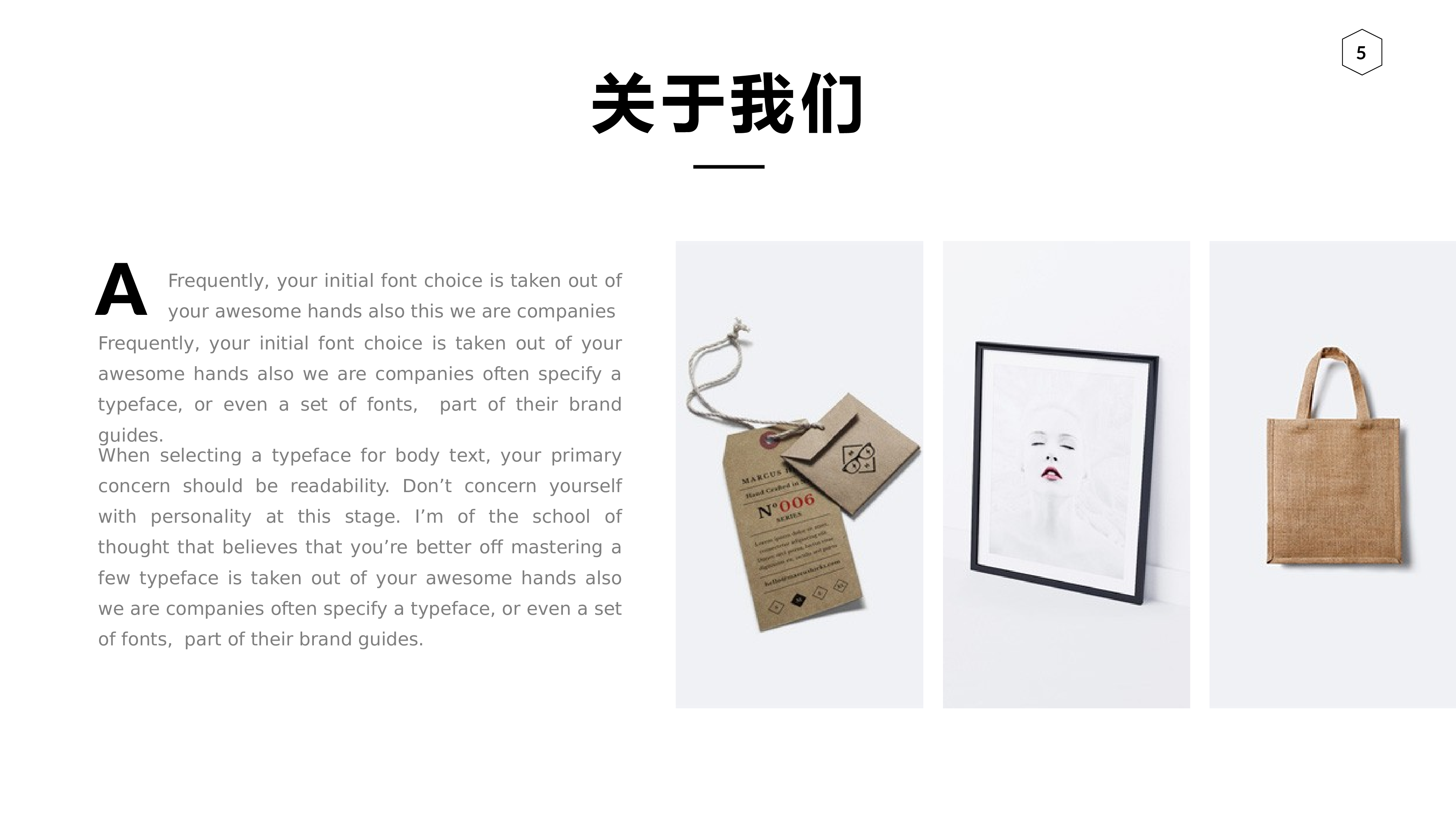 编号17-欧美极简大气【三】.pptx 第5页