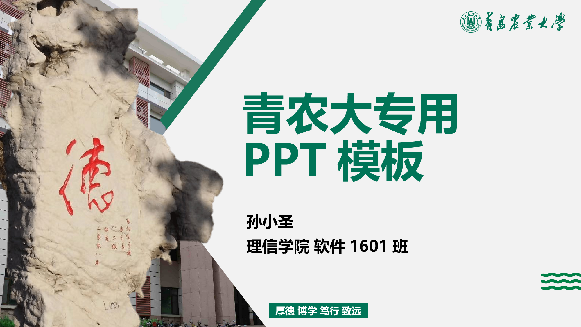 某某大学答辩通用模板346.pptx 第1页