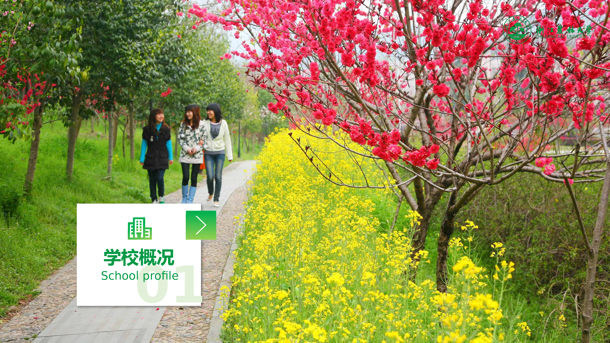 某某大学答辩通用模板290.pptx 第3页
