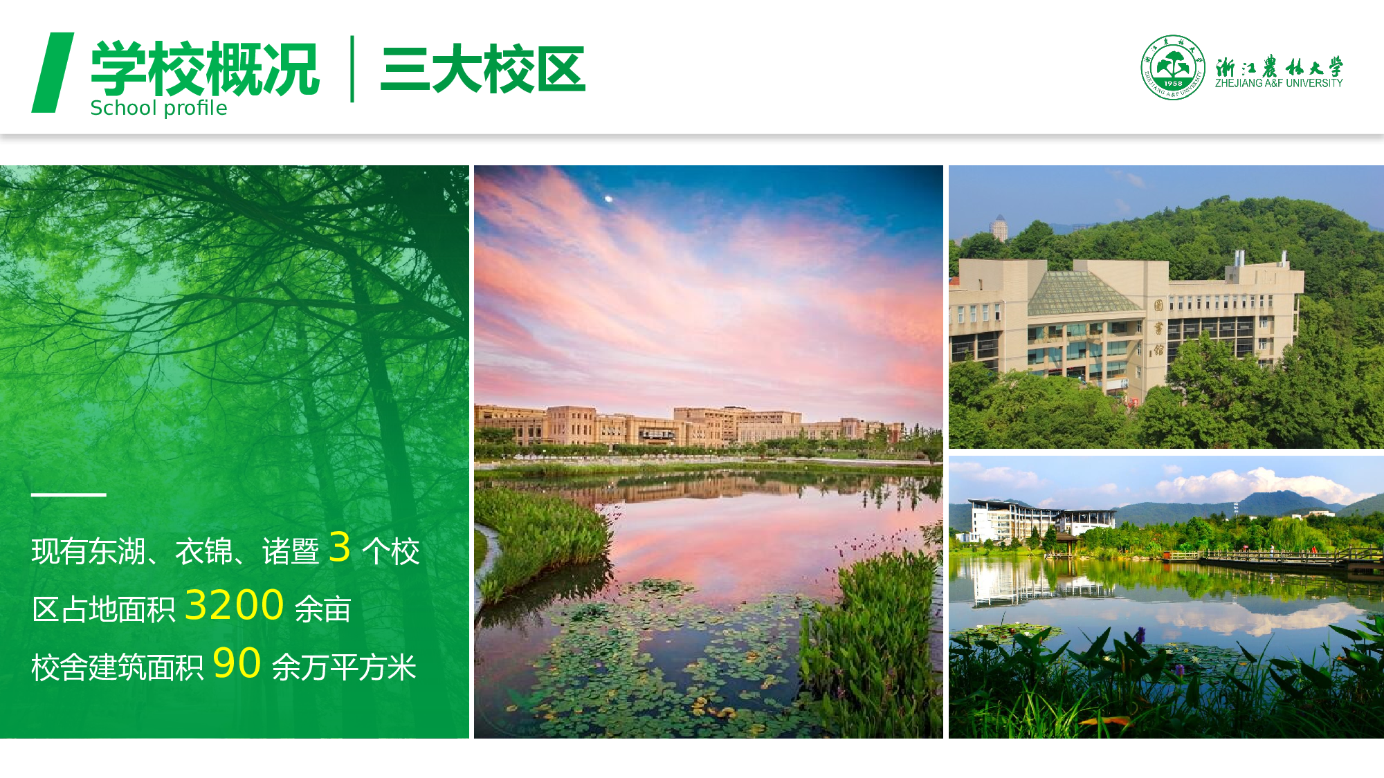 某某大学答辩通用模板290.pptx 第6页