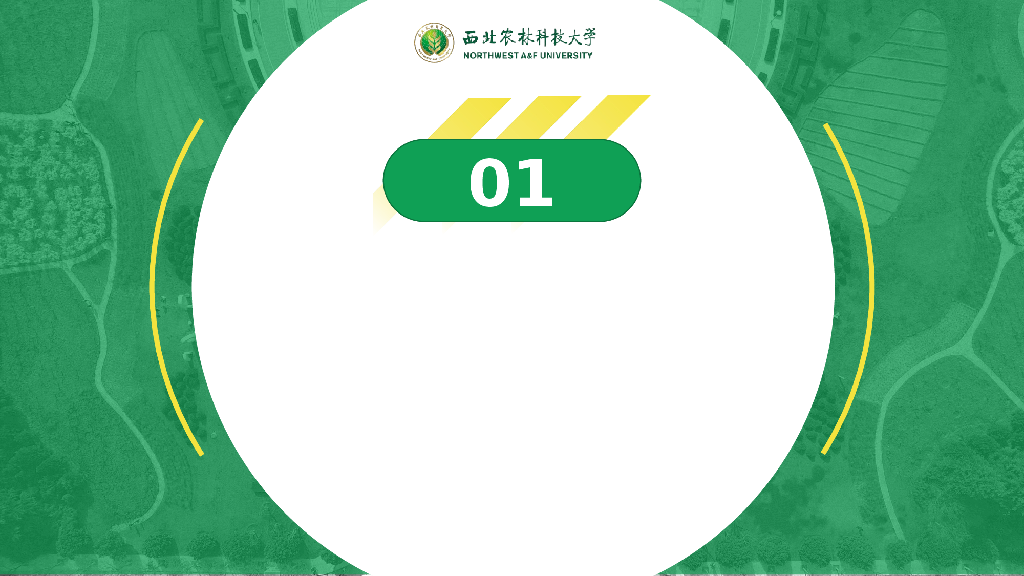 某某大学答辩通用模板349.pptx 第4页