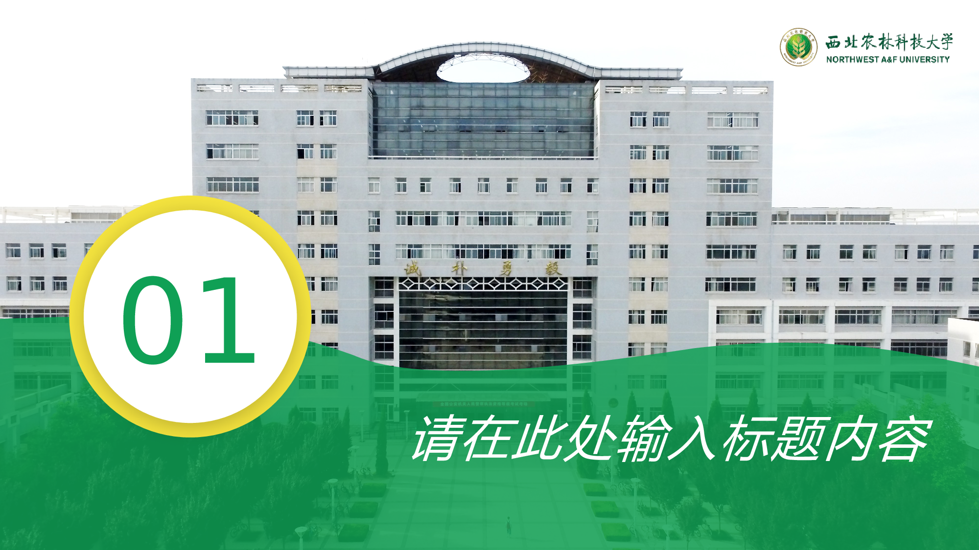 某某大学答辩通用模板349.pptx 第3页