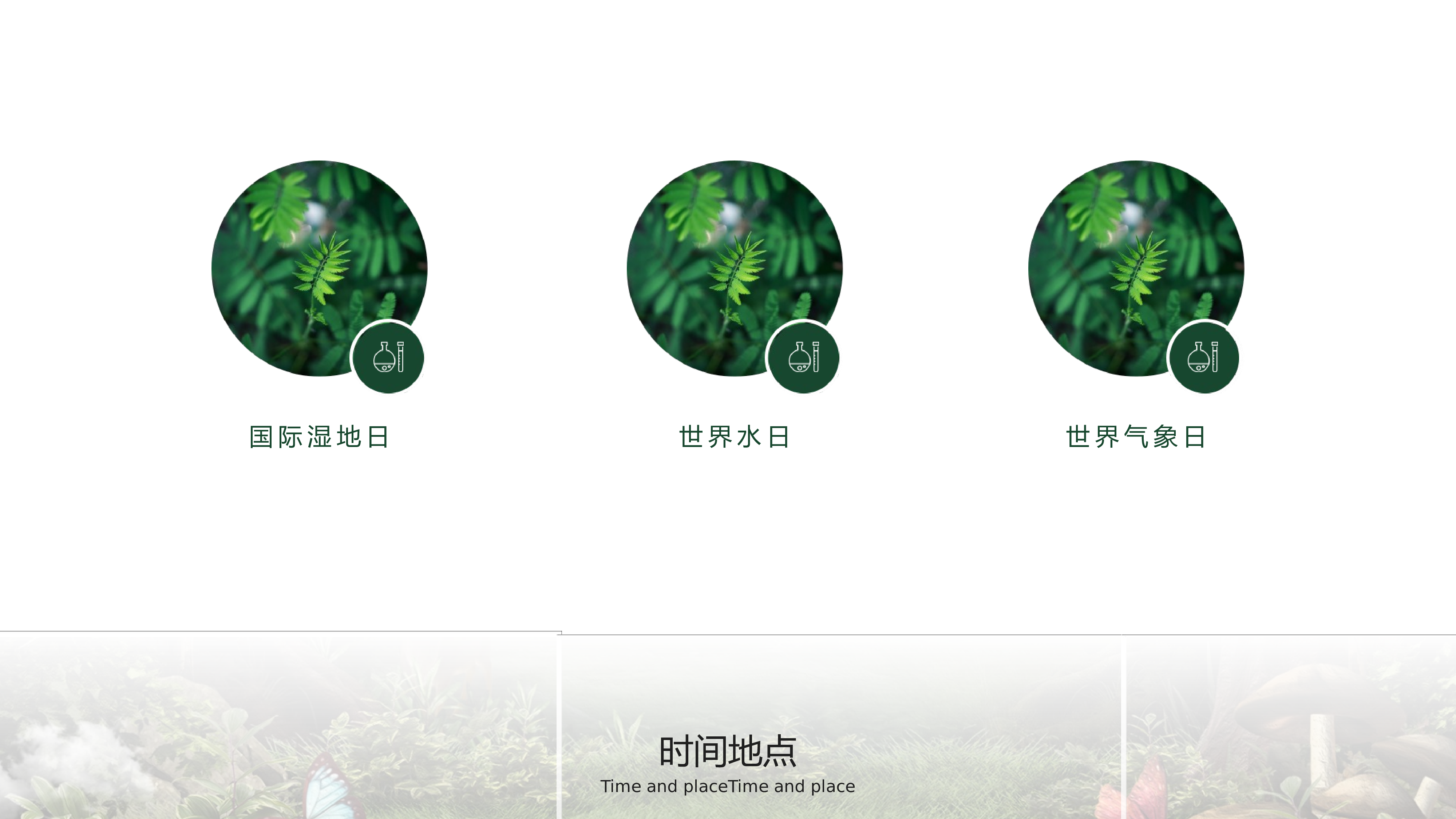 答辩商务(11).pptx 第4页