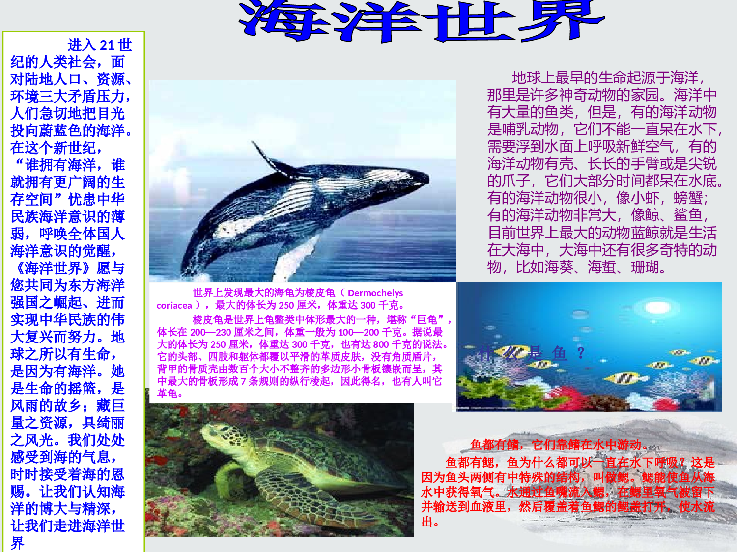 初中年级板报.ppt 第1页