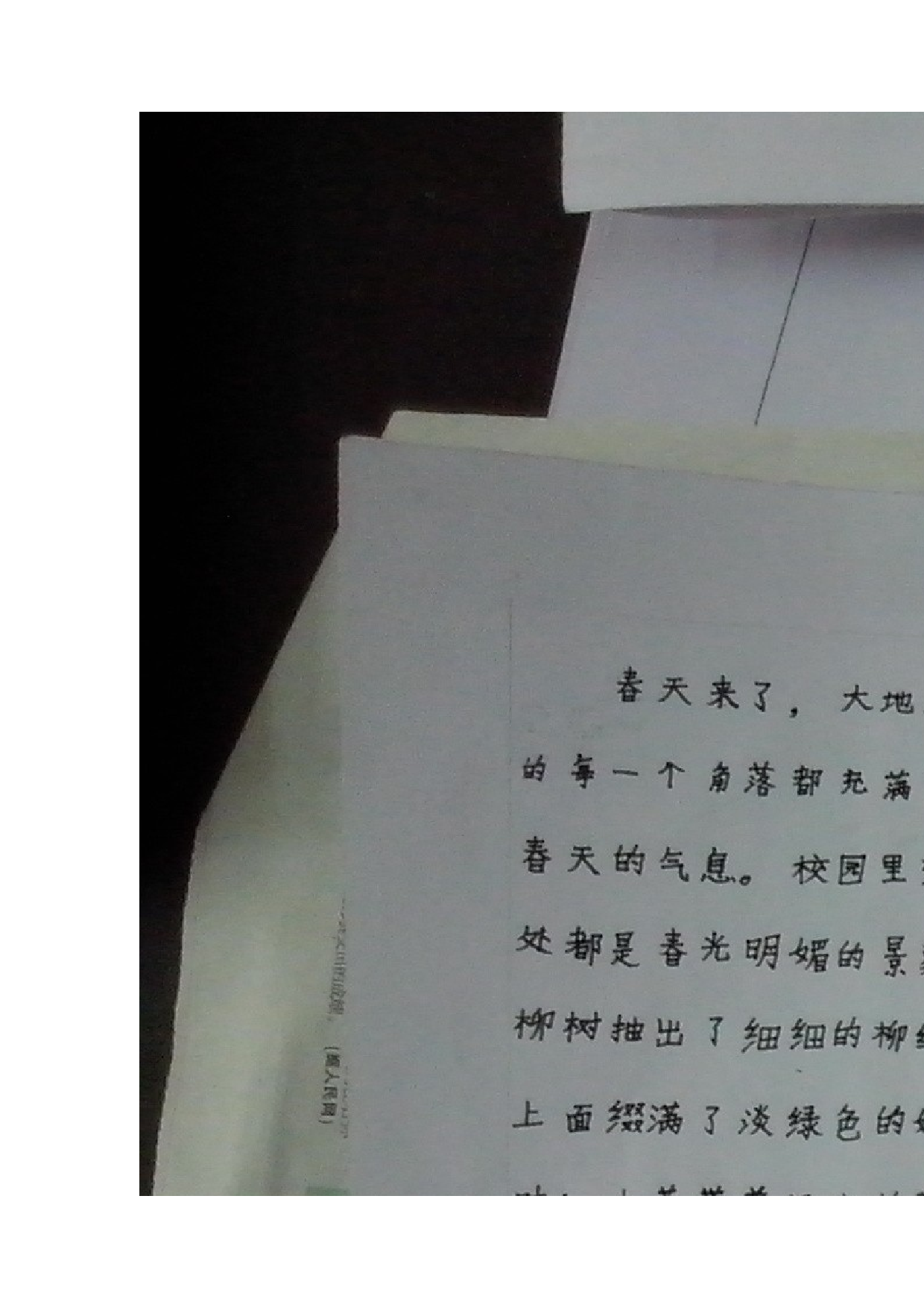 三年级板报.doc 第4页