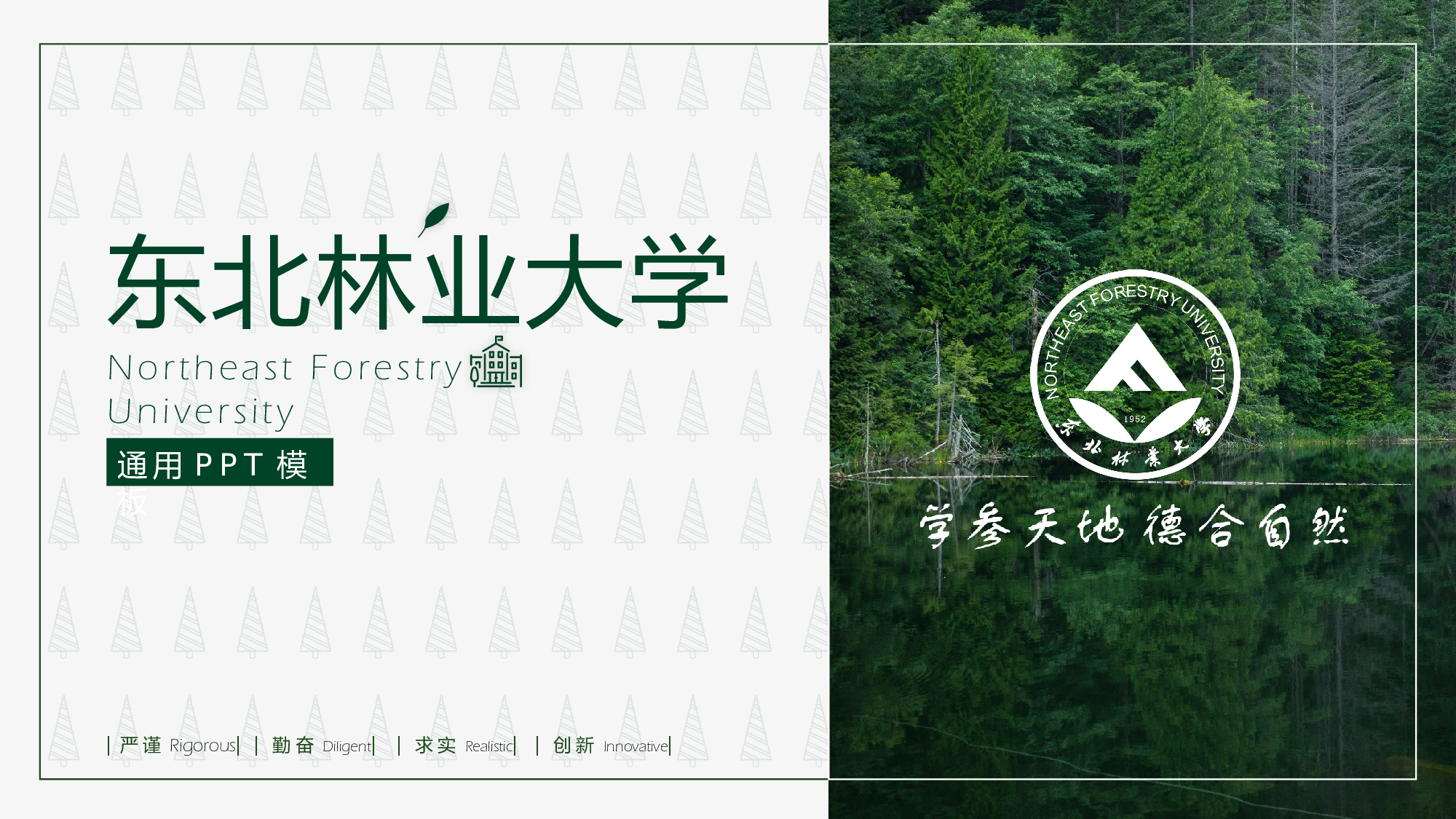 某某大学答辩通用模板254.pptx 第1页