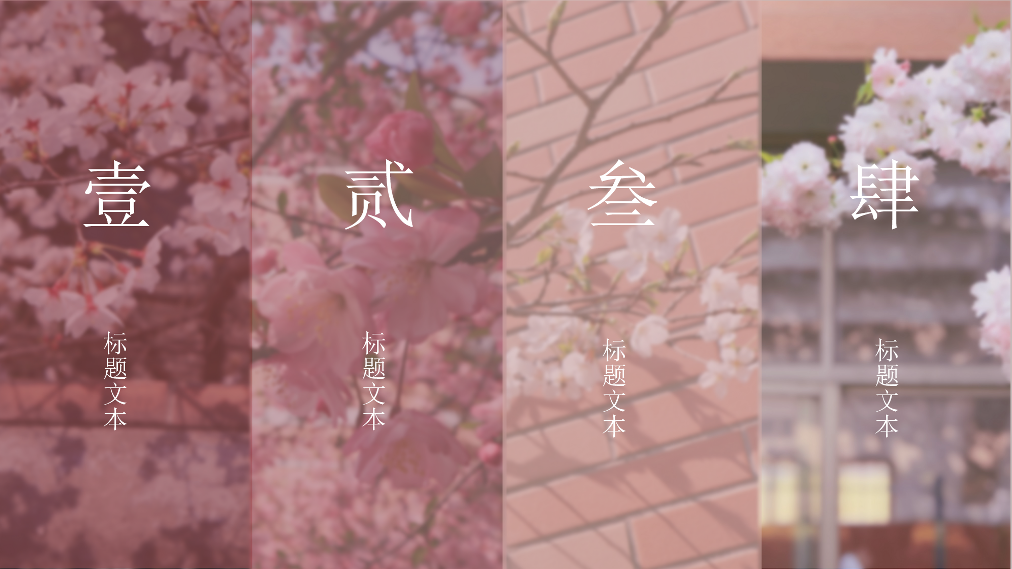 某某大学答辩通用模板286.pptx 第2页