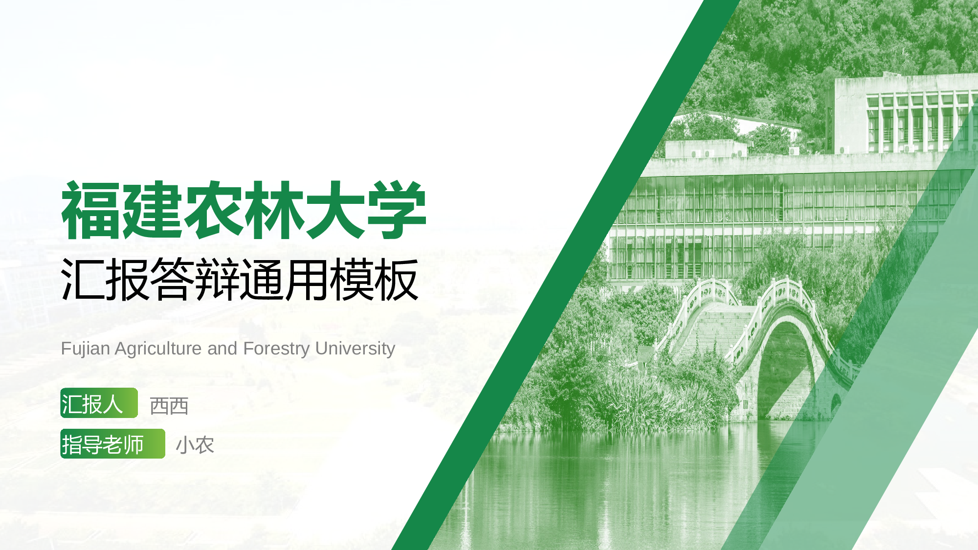 福建农林大学-王茜茜-汇报答辩通用PPT模板.pptx 第1页