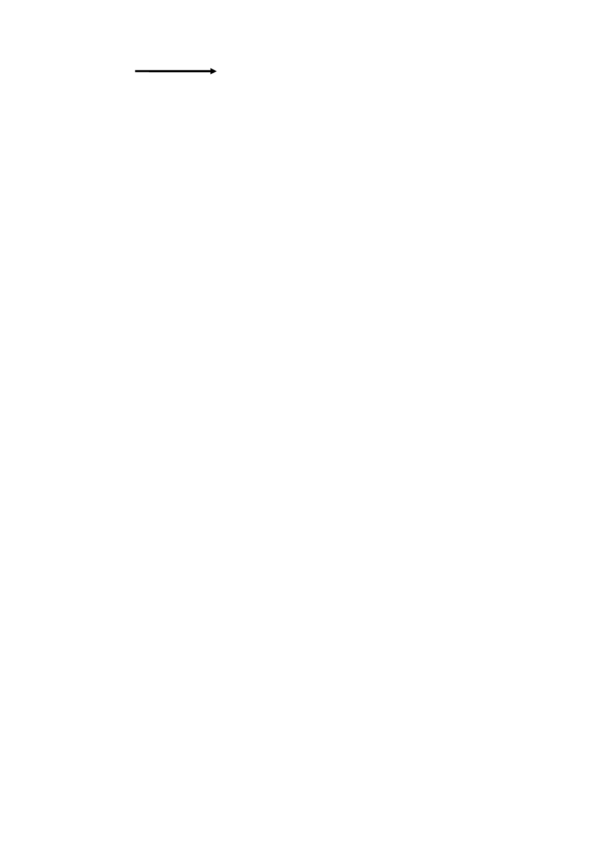 5.10组织生活会流程图.docx 第2页