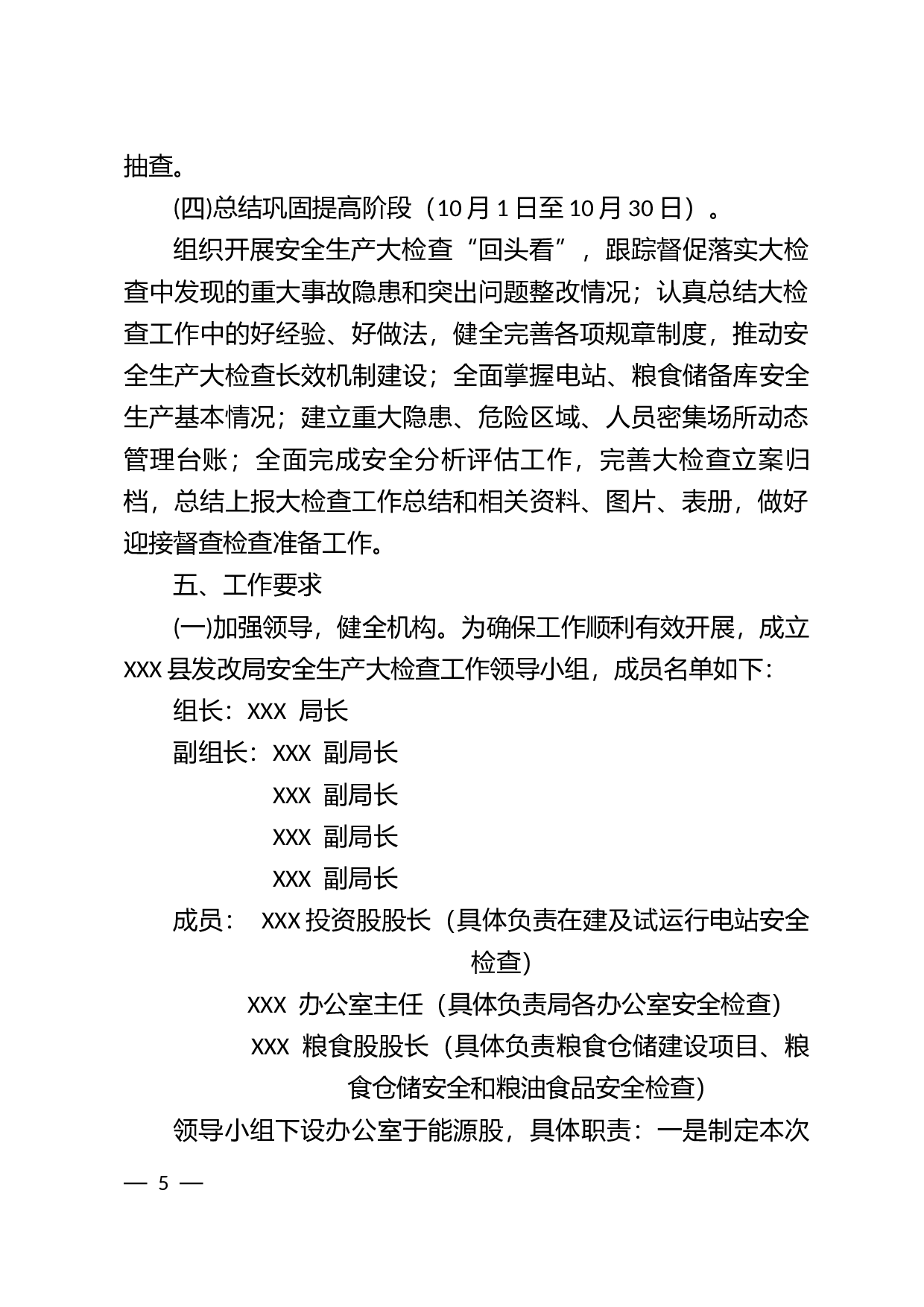 安全生产大检查工作方案.docx 第5页